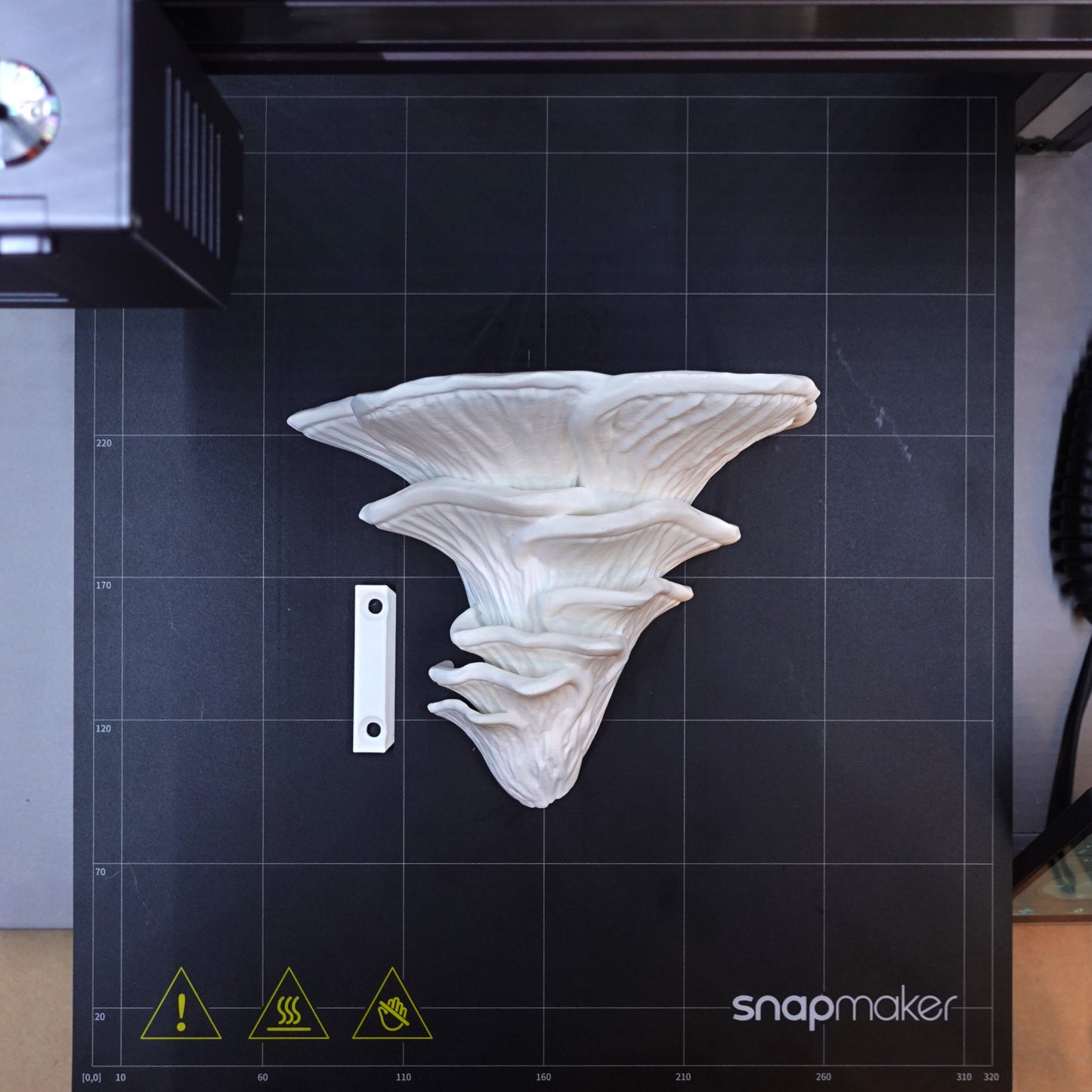 Top-down view of a white Djamor Fungus shelf on a 3D printer bed, showcasing intricate detail and craftsmanship in its 3D printed design.