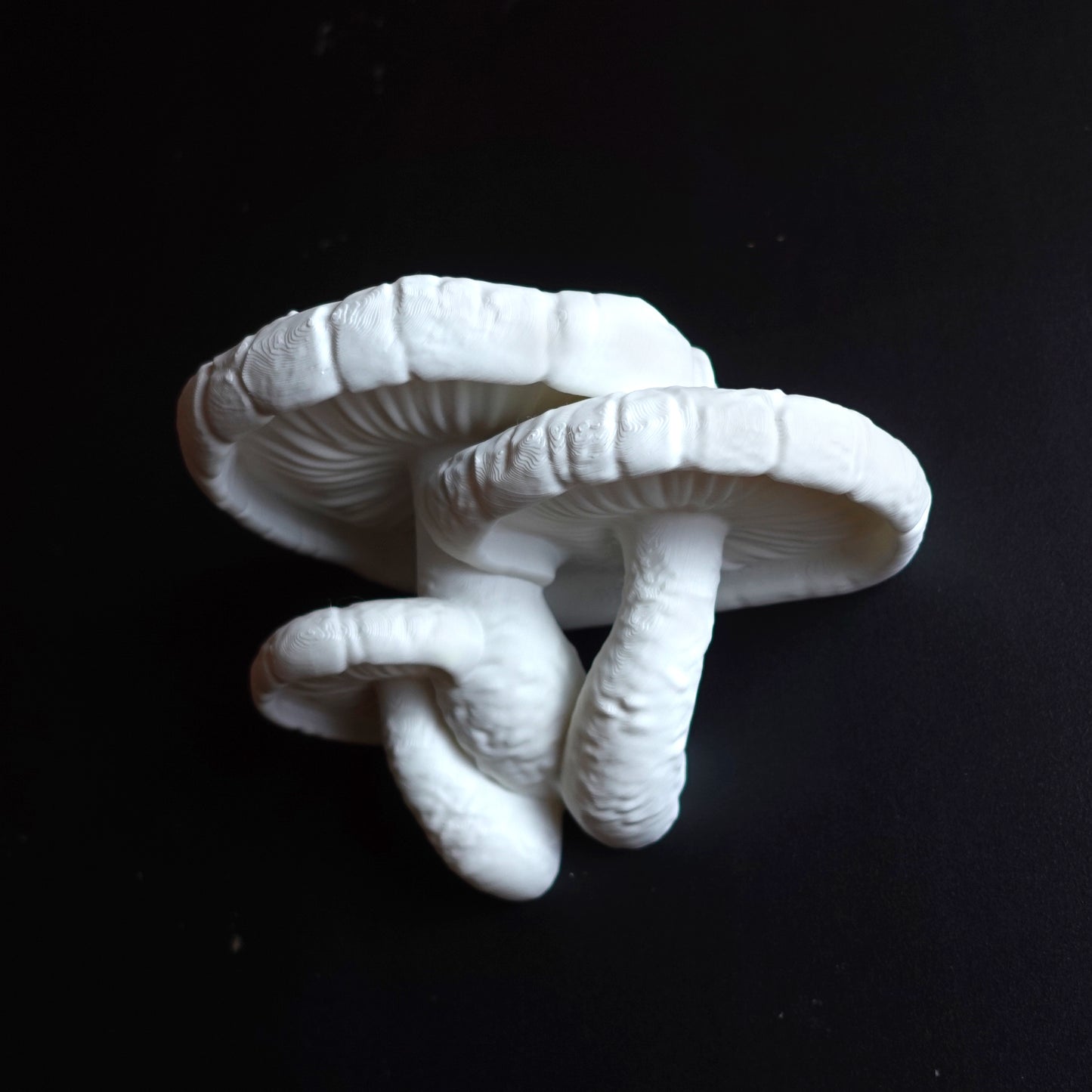 Detailed view of an assembled white Edodes Fungus floating shelf displaying its elegant curves and organic style.
