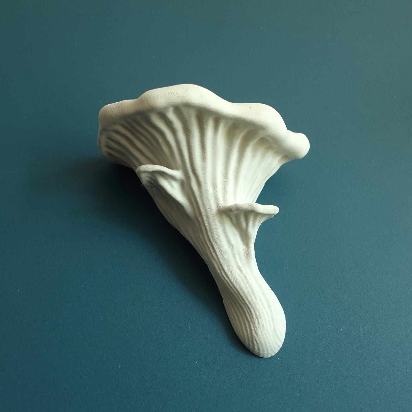 Close-up of a smooth white Oyster Floating Shelf, emphasizing its elegant mushroom shape and textured surface, suitable for a variety of decor styles.