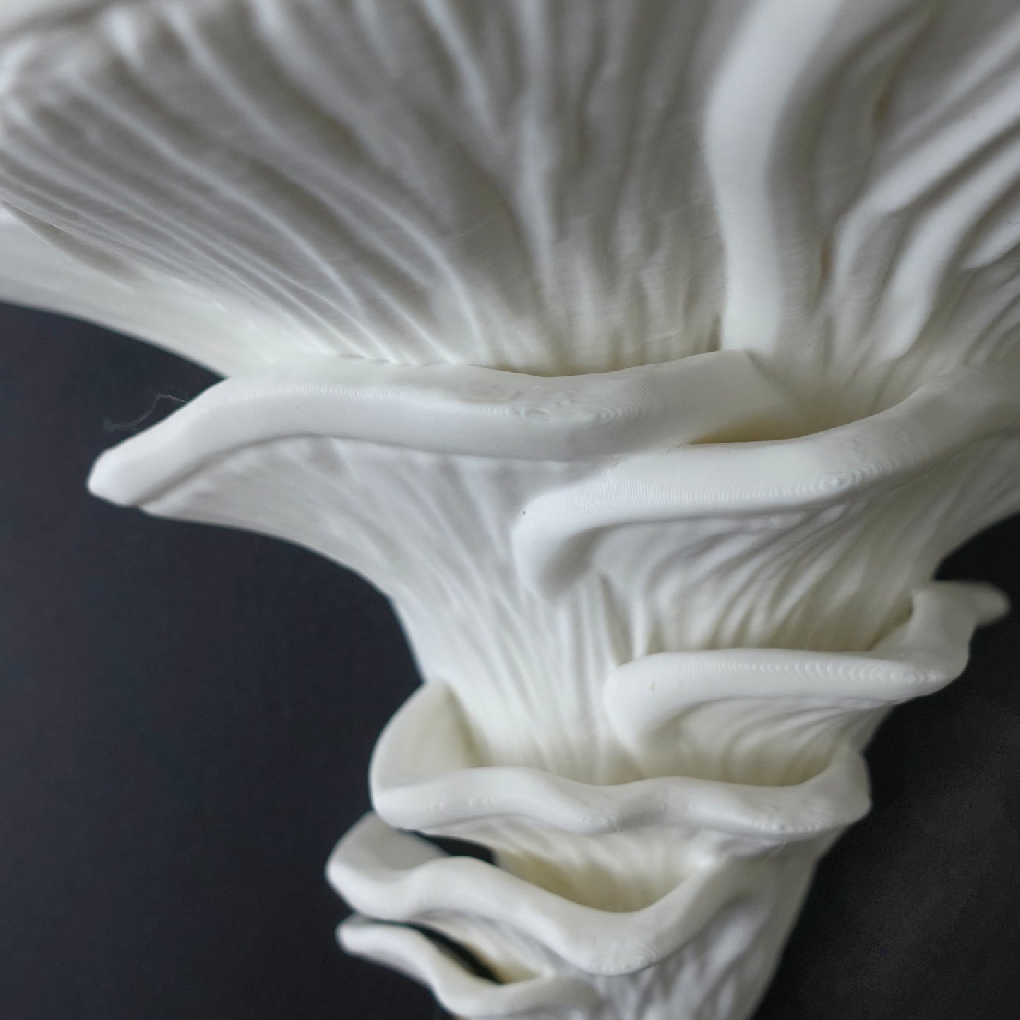 Close-up view of a Djamor Floating Mushroom Shelf, showing intricate details and textures of the shelf.