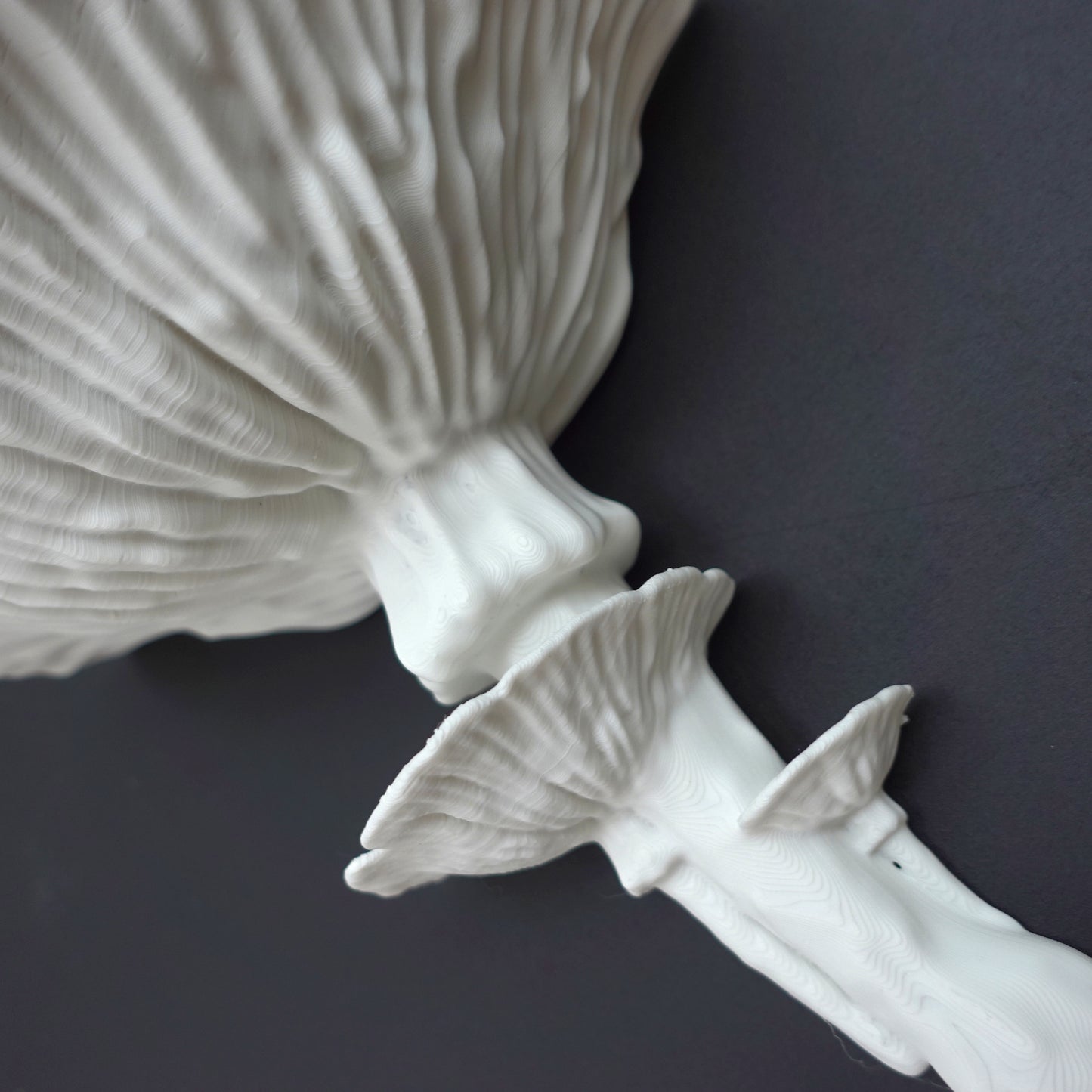 Close-up of the Amanita Fungus Mushroom Shelf, highlighting intricate details and texture, showcasing a standard matte finish. A stylish floating fungus shelf decor option.