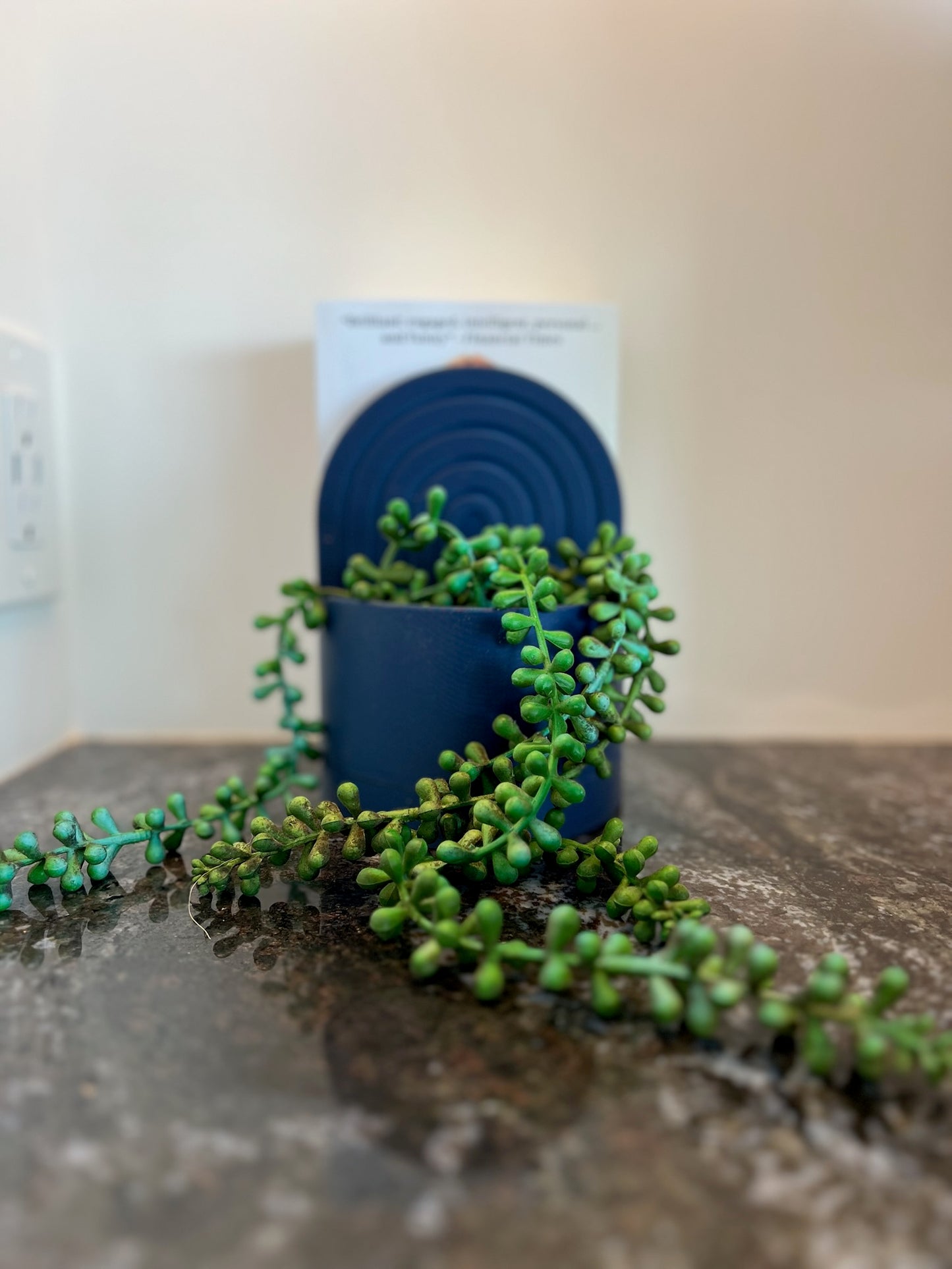 Modern arch bookend planter on a countertop with trailing succulents and a blurred book in the background.