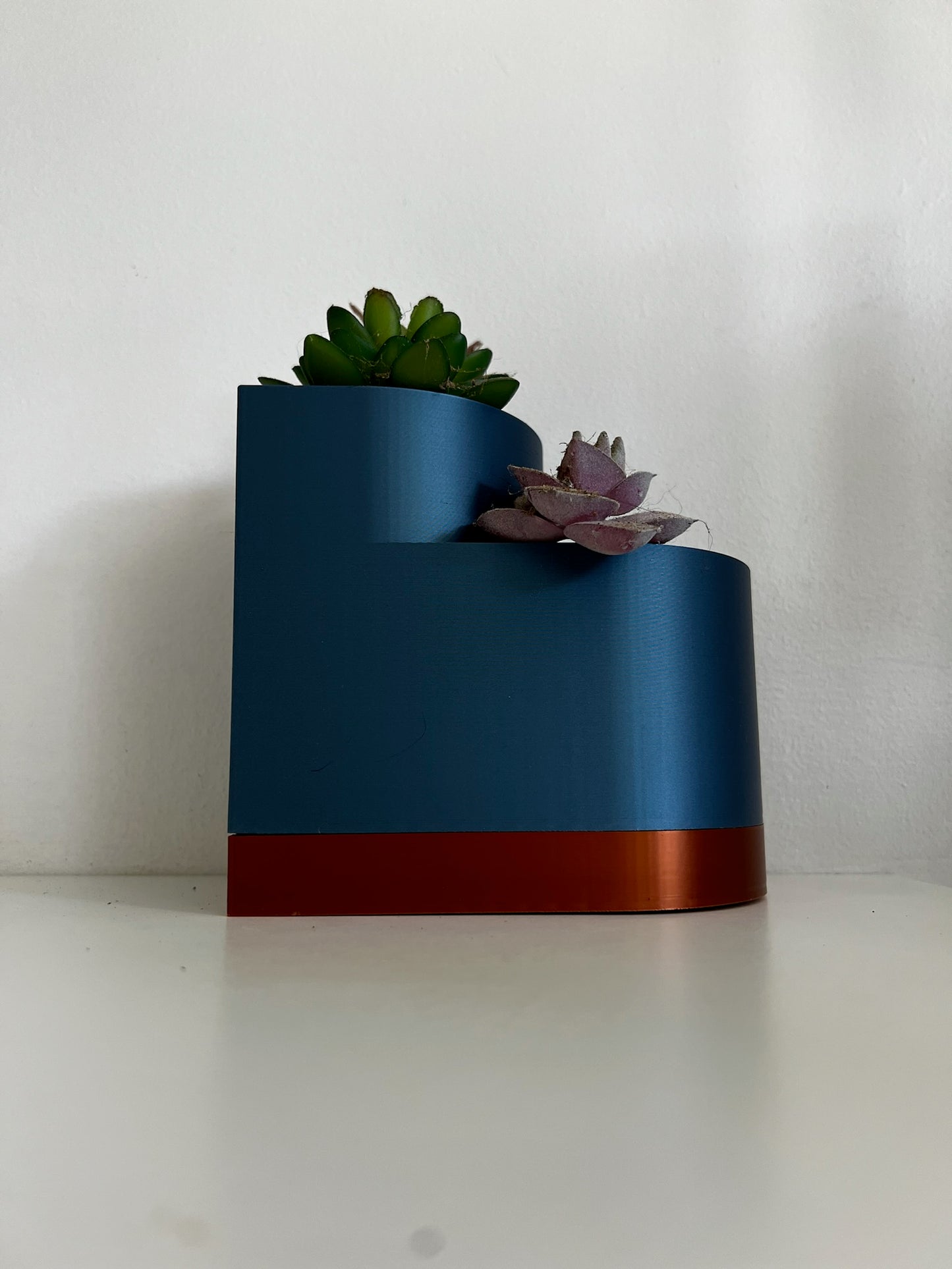 A striking blue double layer planter adorned with two distinct succulent plants, showcasing its chic and contemporary look.