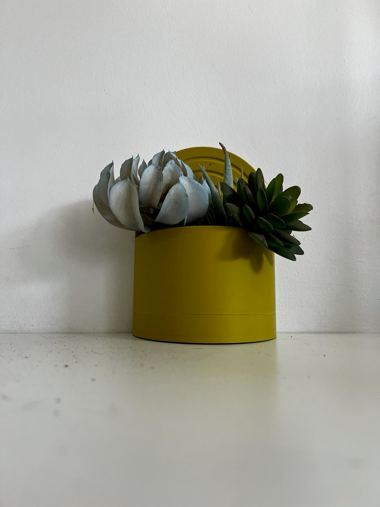 Vibrant yellow arch bookend planter featuring a variety of succulents, set against a white wall.
