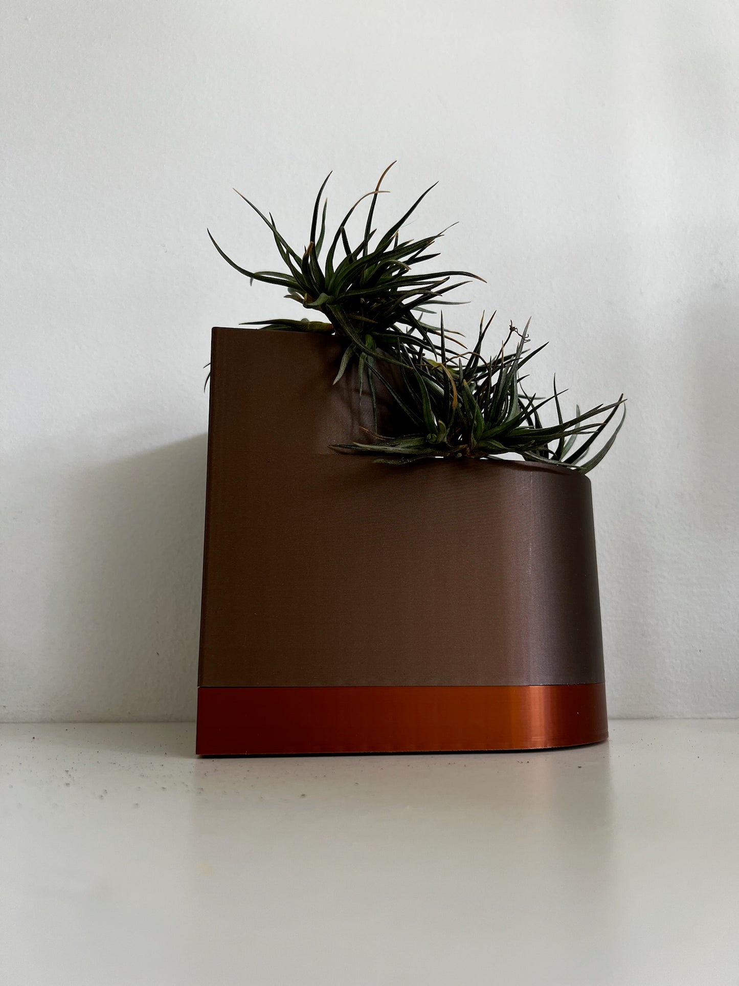 Brown double layer planter with several air plants positioned atop, demonstrating its functional and stylish design.