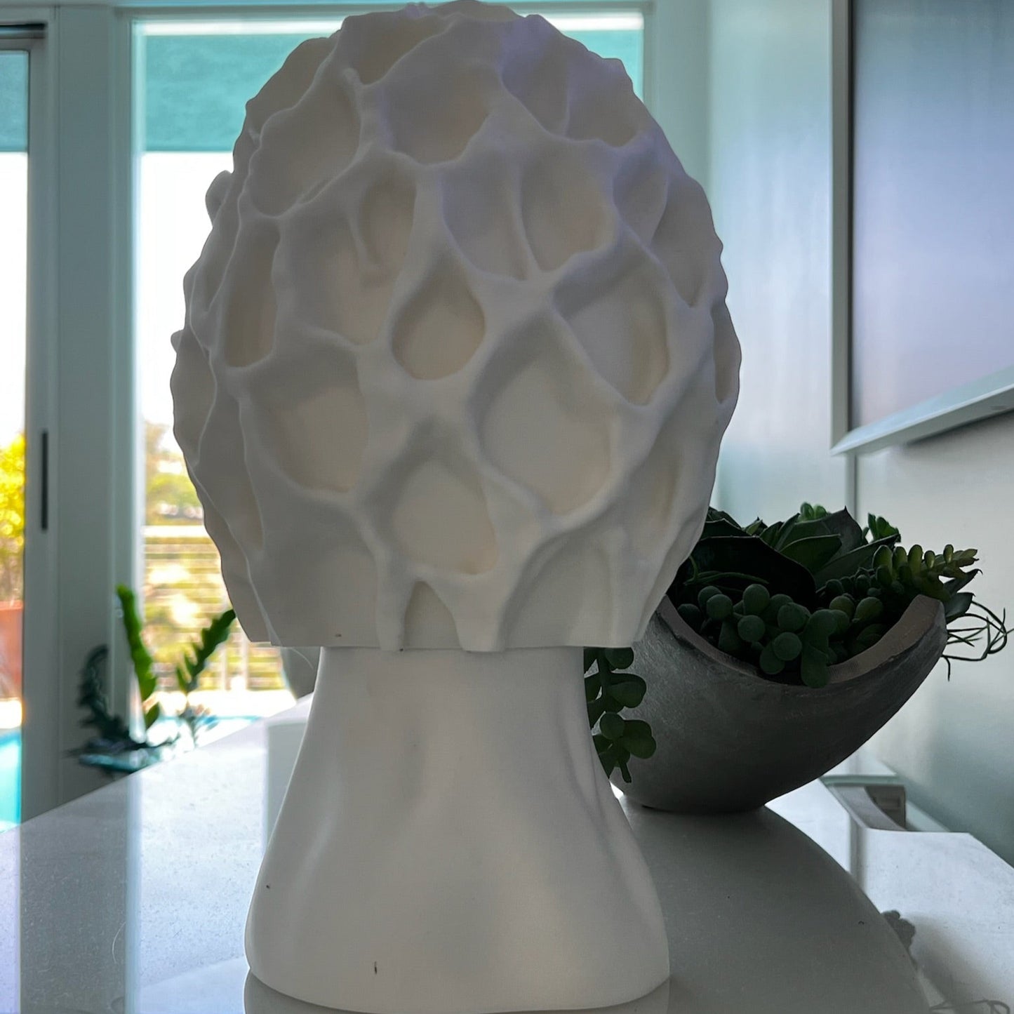 Morel-style lamp glowing with soft light, placed next to extensive book collection on a shelf.
