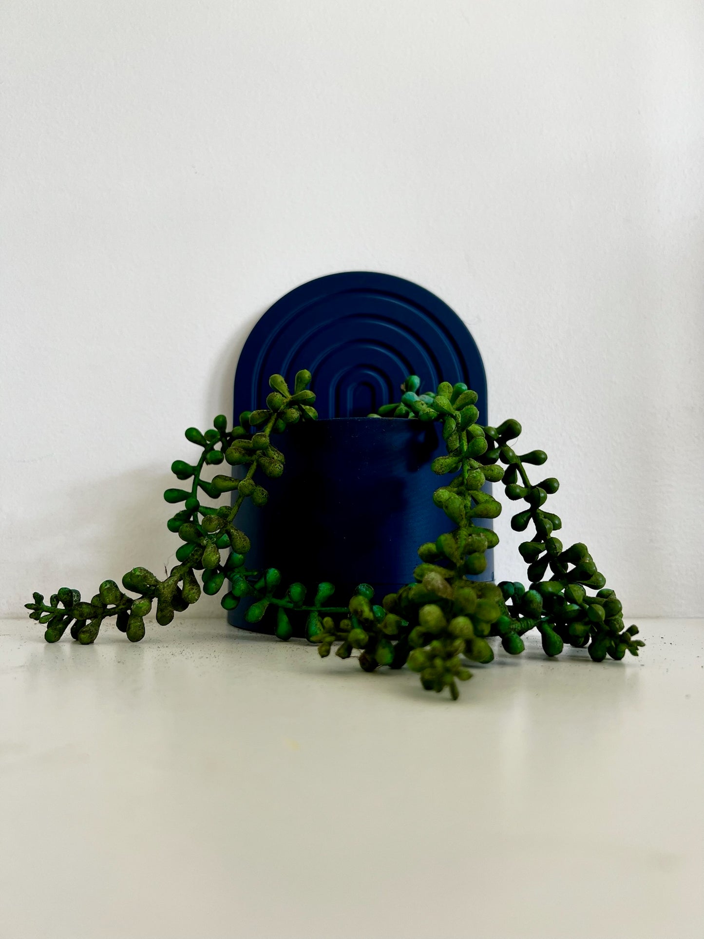 Close-up of a dark blue arch bookend planter overflowing with green succulent vines, minimalist white background.