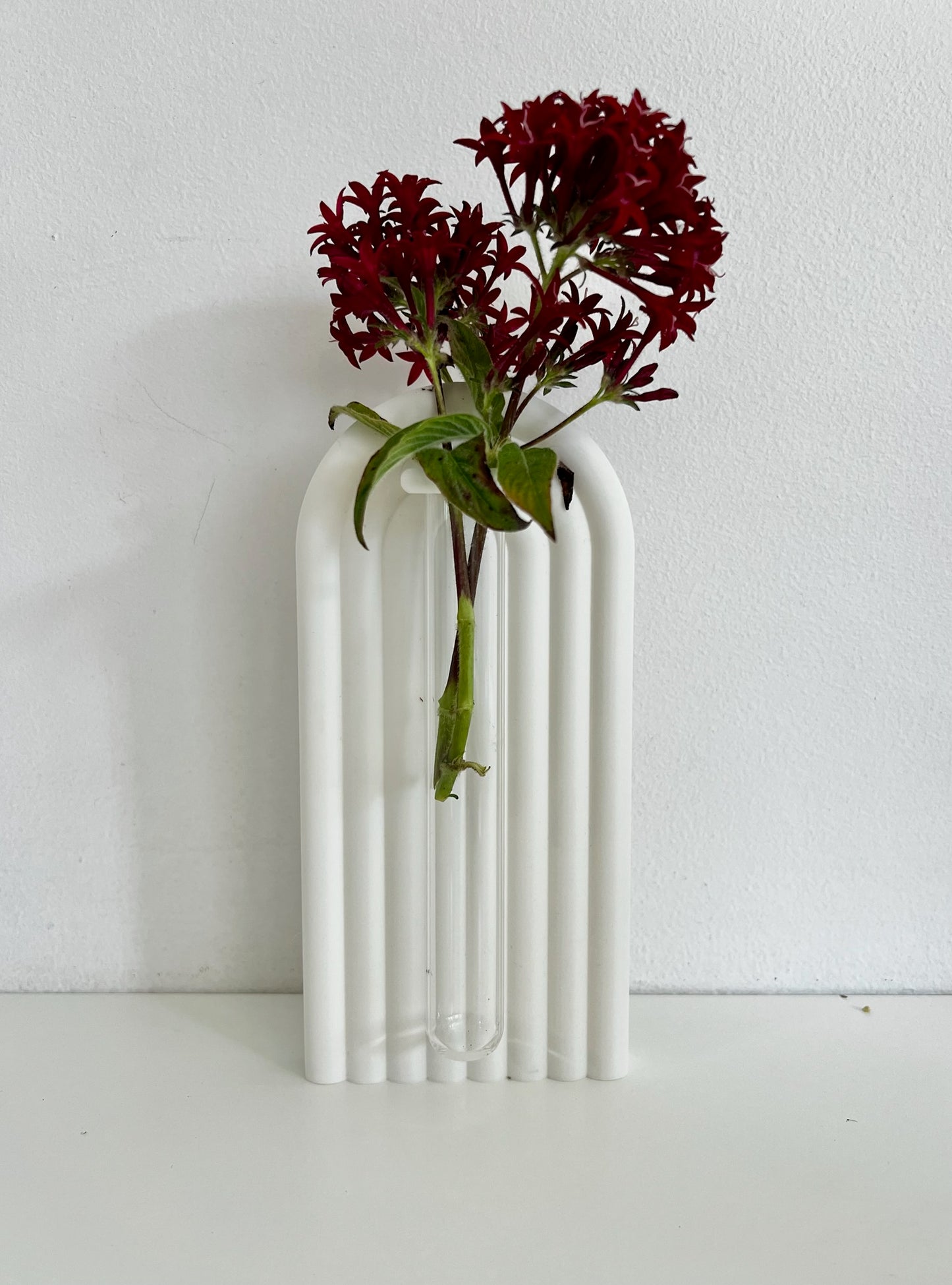 Beautiful white propagation bookend with red flowers, elegantly displayed on a minimalistic background.