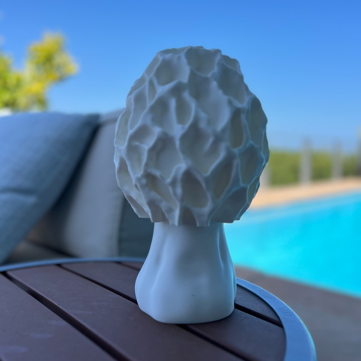 Naturally styled Morel lamp featuring a unique design displayed amidst stylish decorative elements.