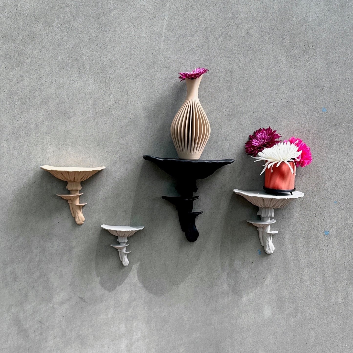 Group of various Amanita Fungus Mushroom Shelves mounted on a wall, displaying different sizes and colors, perfect for personalized home decor. A trendy floating fungus shelf decor choice.