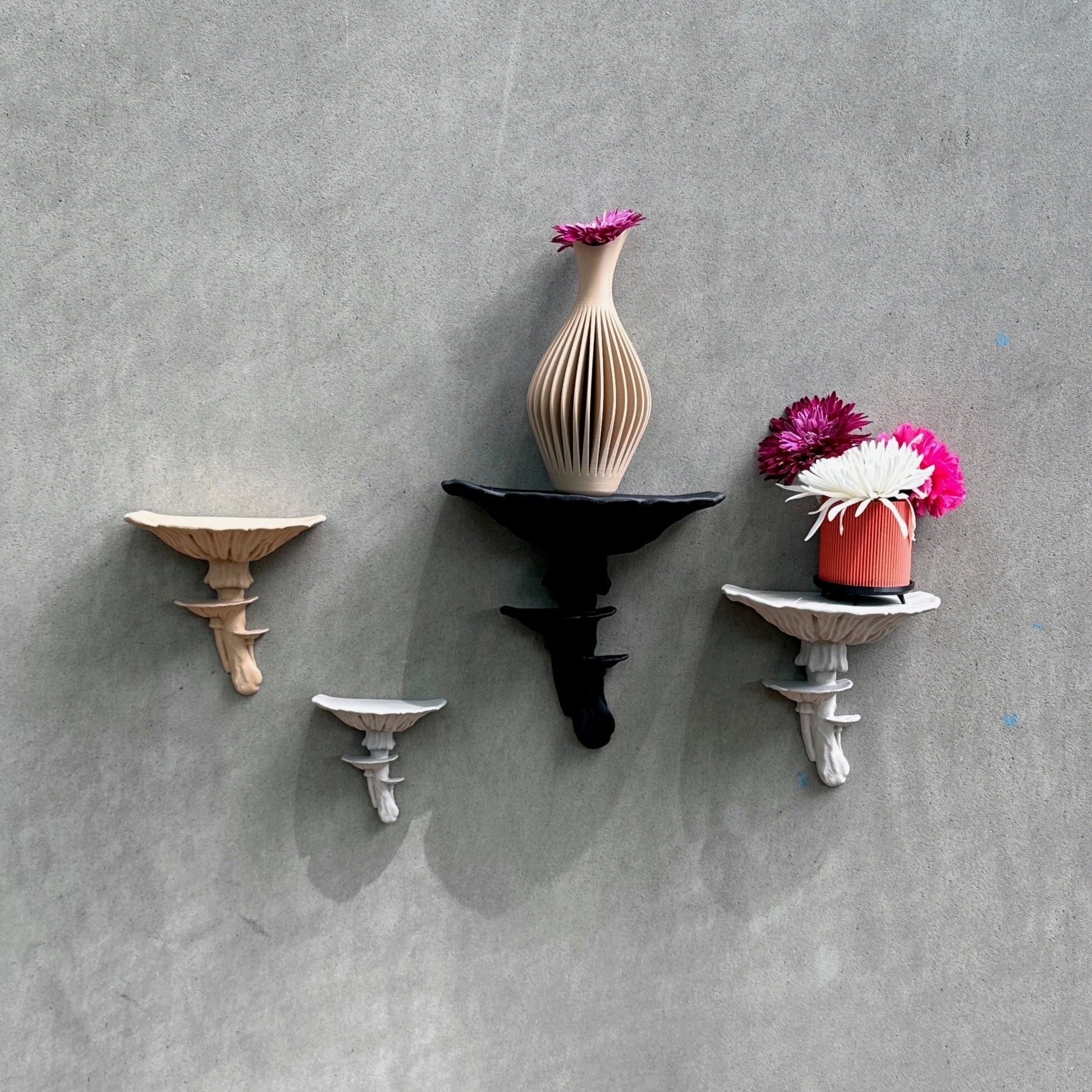 Group of various Amanita Fungus Mushroom Shelves mounted on a wall, displaying different sizes and colors, perfect for personalized home decor. A trendy floating fungus shelf decor choice.