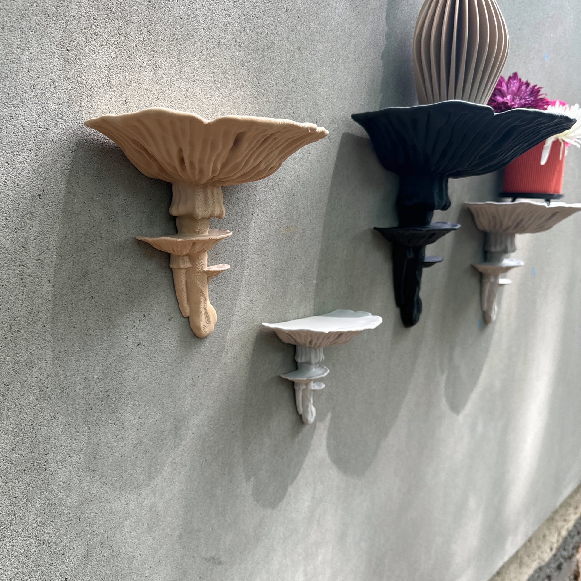 Amanita Fungus Mushroom Shelf | Floating Shelf | Standard Matte Decor showcasing multiple styles in earthy tones, perfect for adding a unique touch to any space. Ideal floating fungus shelf decor.