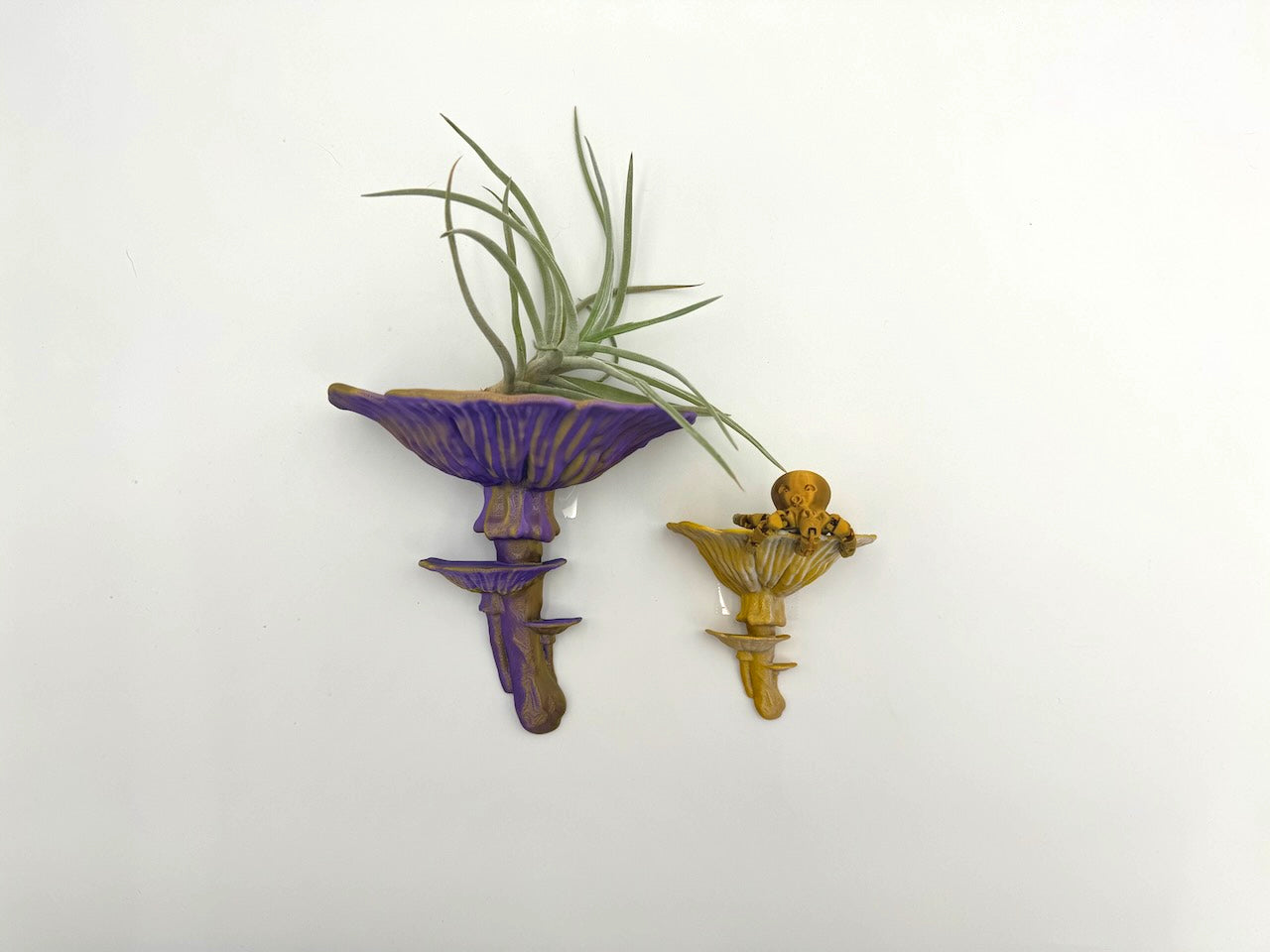 Vibrant Amanita fungus themed floating shelves in purple and yellow, with air plants, ideal for adding a touch of elegance to your space.