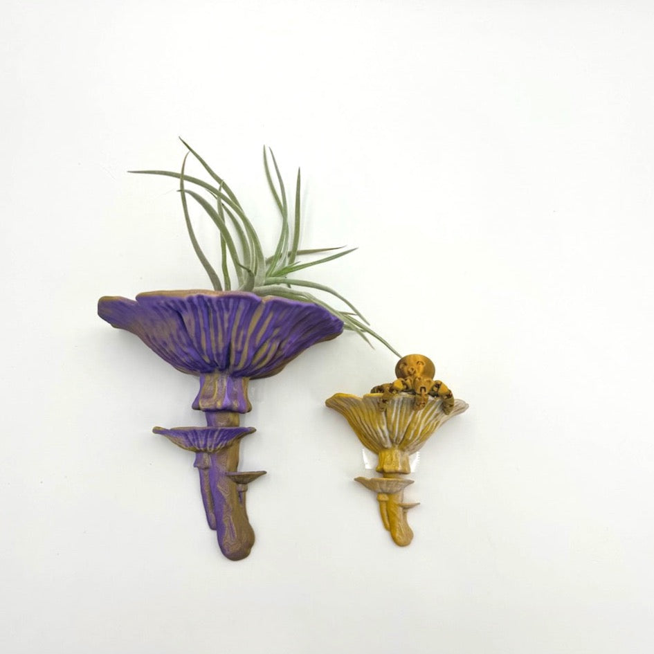 Shimmering dual silk Amanita fungus themed floating shelves in purple and yellow, showcasing air plants, perfect for home decor.