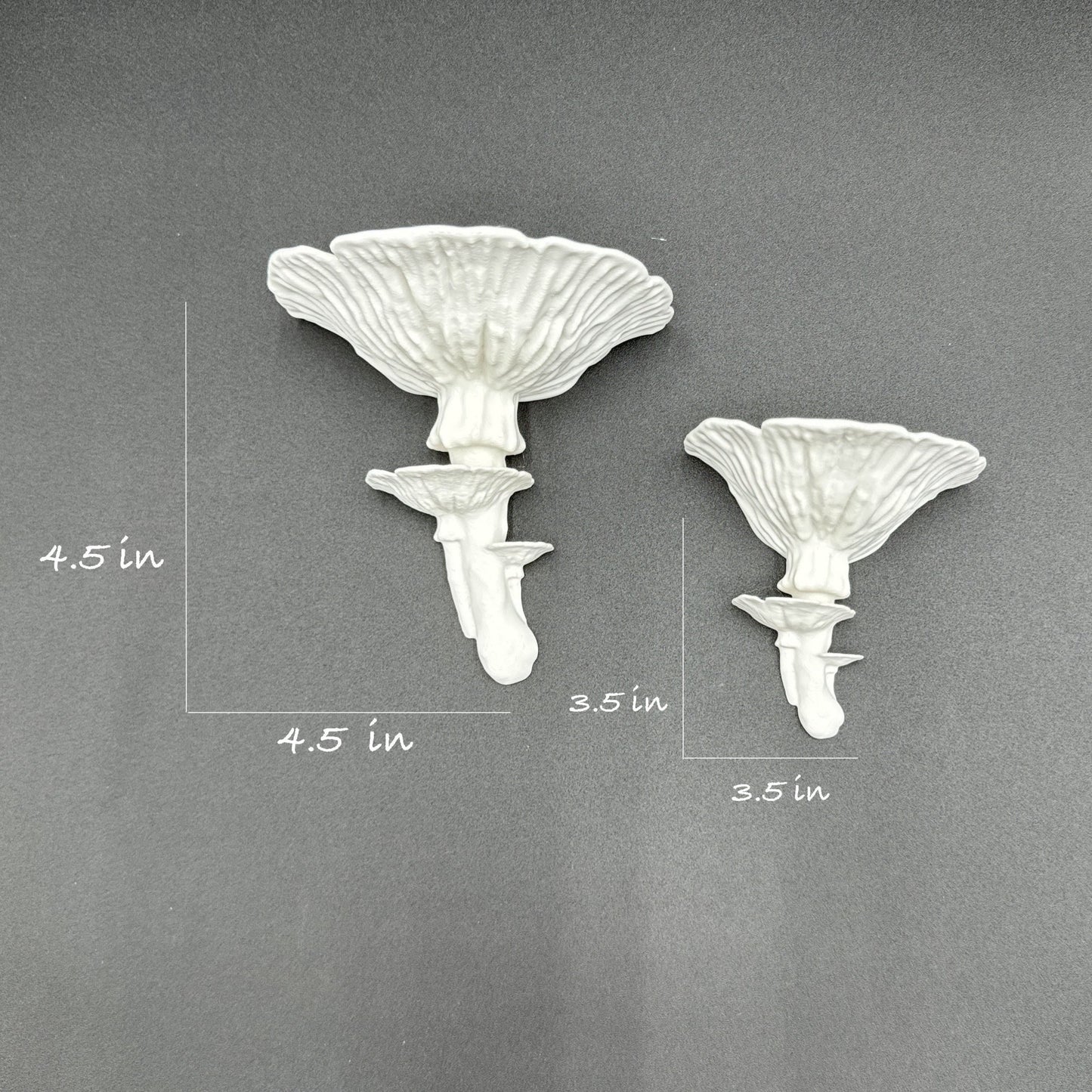Two variations of elegant white fungus shelves with dimensions shown on a gray background, ideal for enhancing any room.