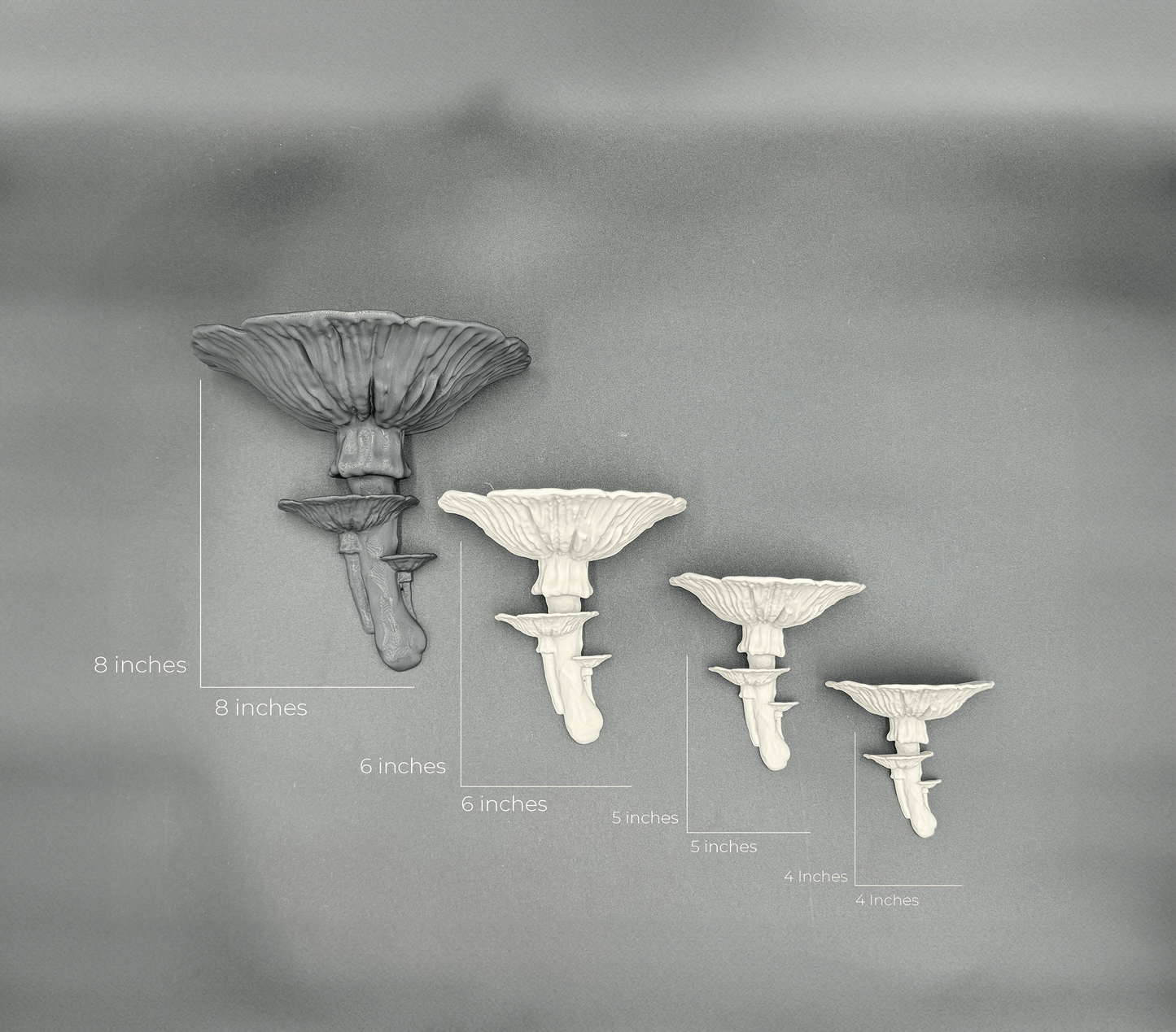 Size reference image featuring different sizes of the Amanita Fungus Mushroom Shelf. Ideal for those looking for the perfect floating fungus shelf decor.