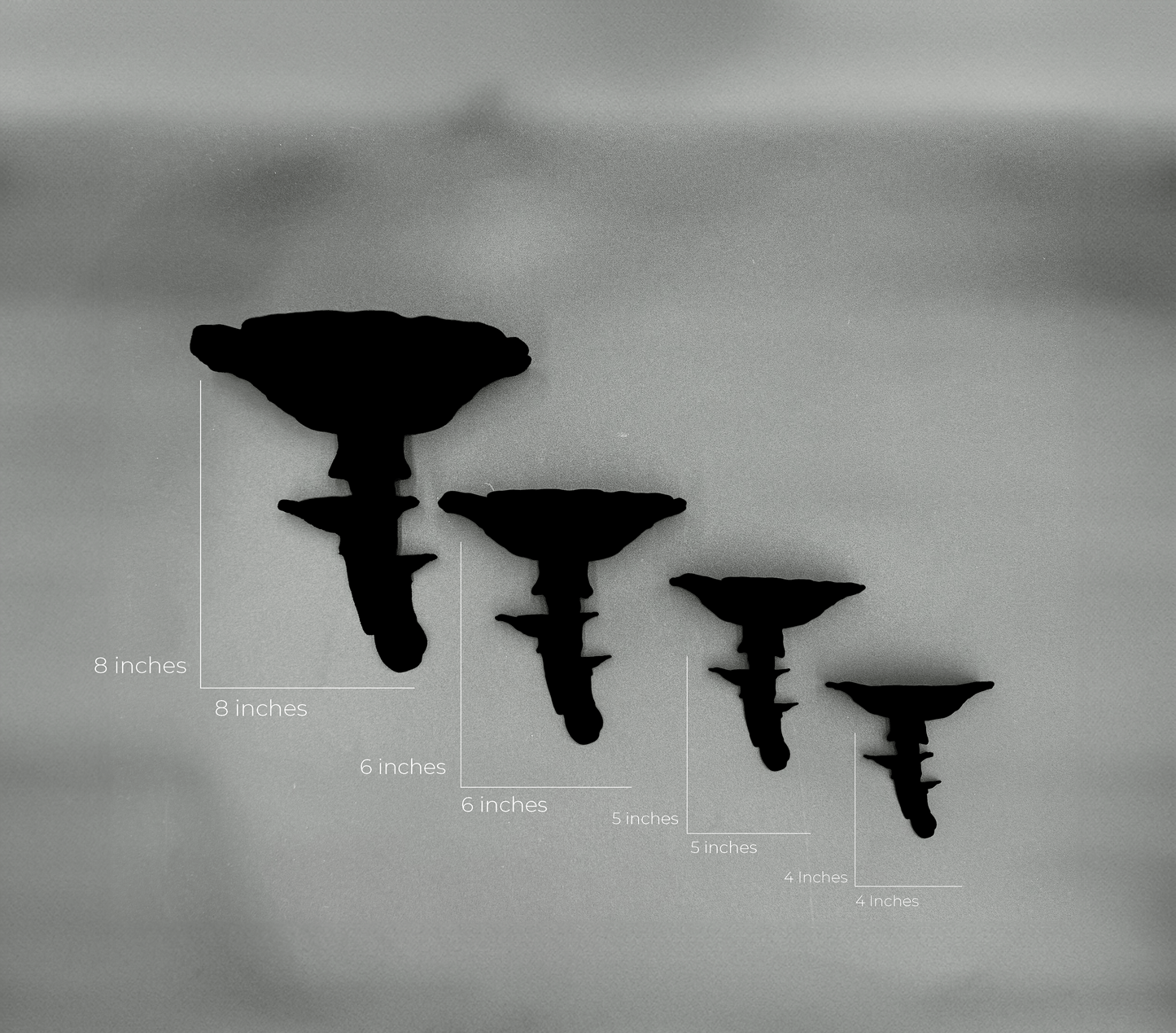 Silhouette of Amanita mushroom floating shelves with measuring indicators for sizes, showcasing 8-inch, 6-inch, and 5-inch variants.