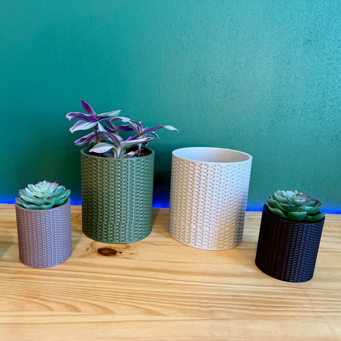 Basketweave Wall Planter with Vibrant Greenery – A chic, space-saving planter that adds texture and charm to any indoor garden.