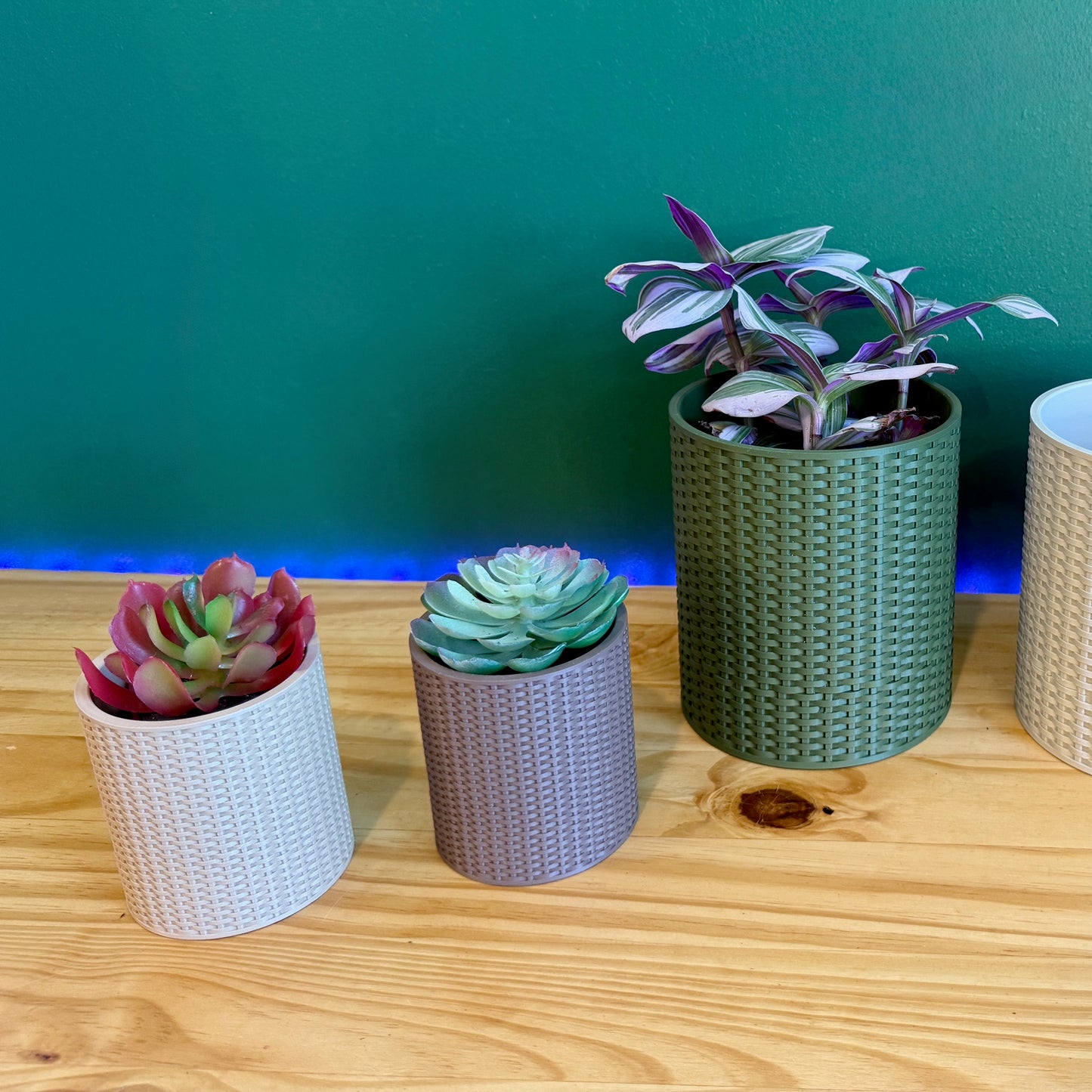 Basketweave Planter with Faux Succulent – A durable and elegant planter with a subtle woven design, great for small plants and herbs.