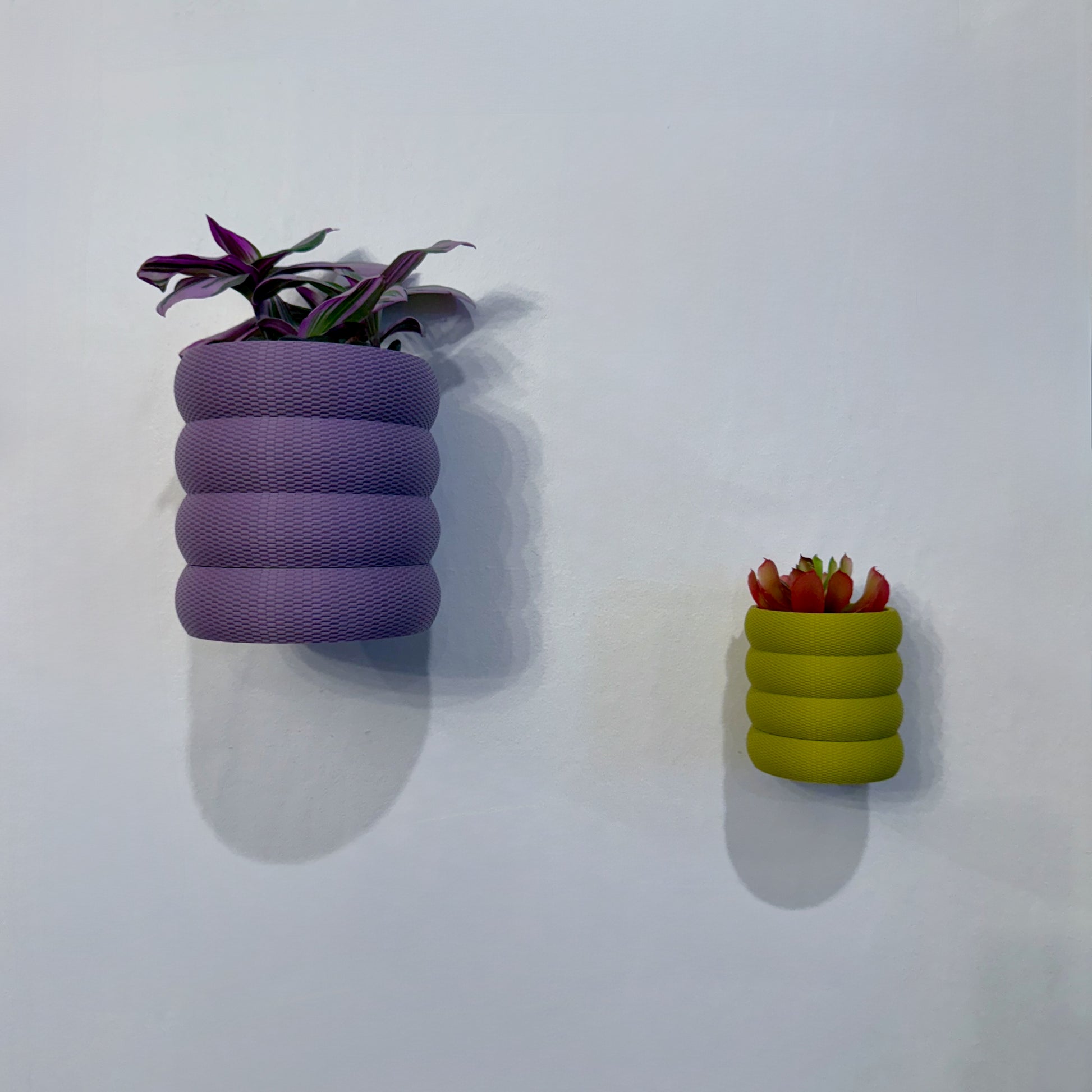 A chic, space-saving wall planter featuring a rounded woven pattern, perfect for displaying vibrant greenery or succulents.