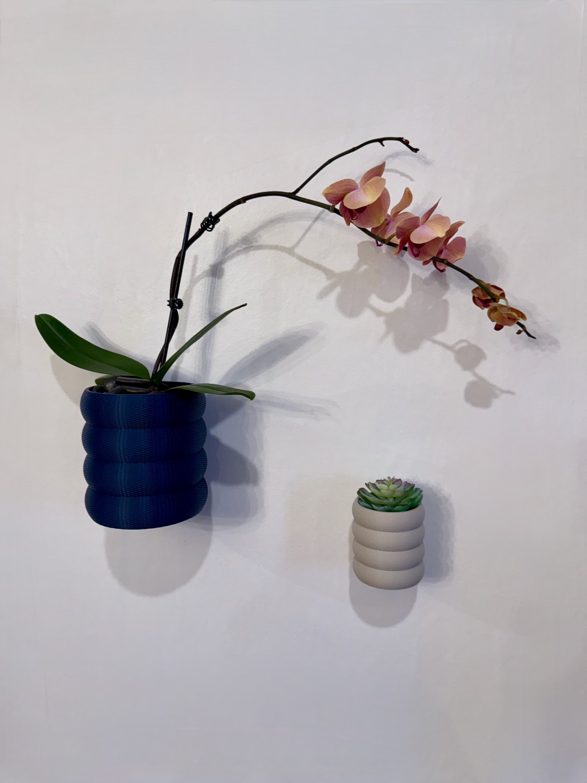 These sculptural planters feature a woven, bubble-like texture, bringing a playful and elegant touch to your walls.