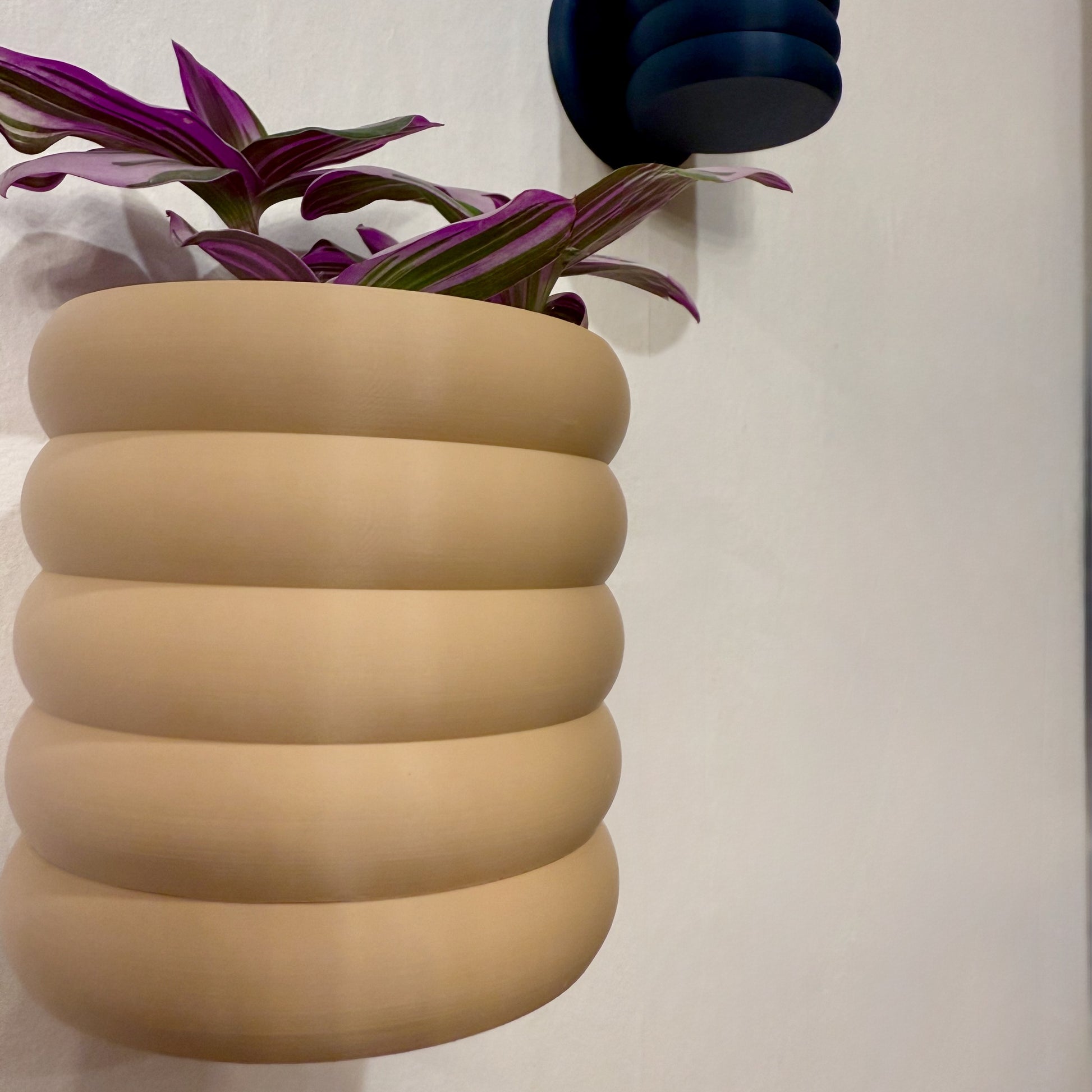 Curvy, modern wall planter with a sleek round shape, designed by Lofted Goods and available in a variety of colors.
