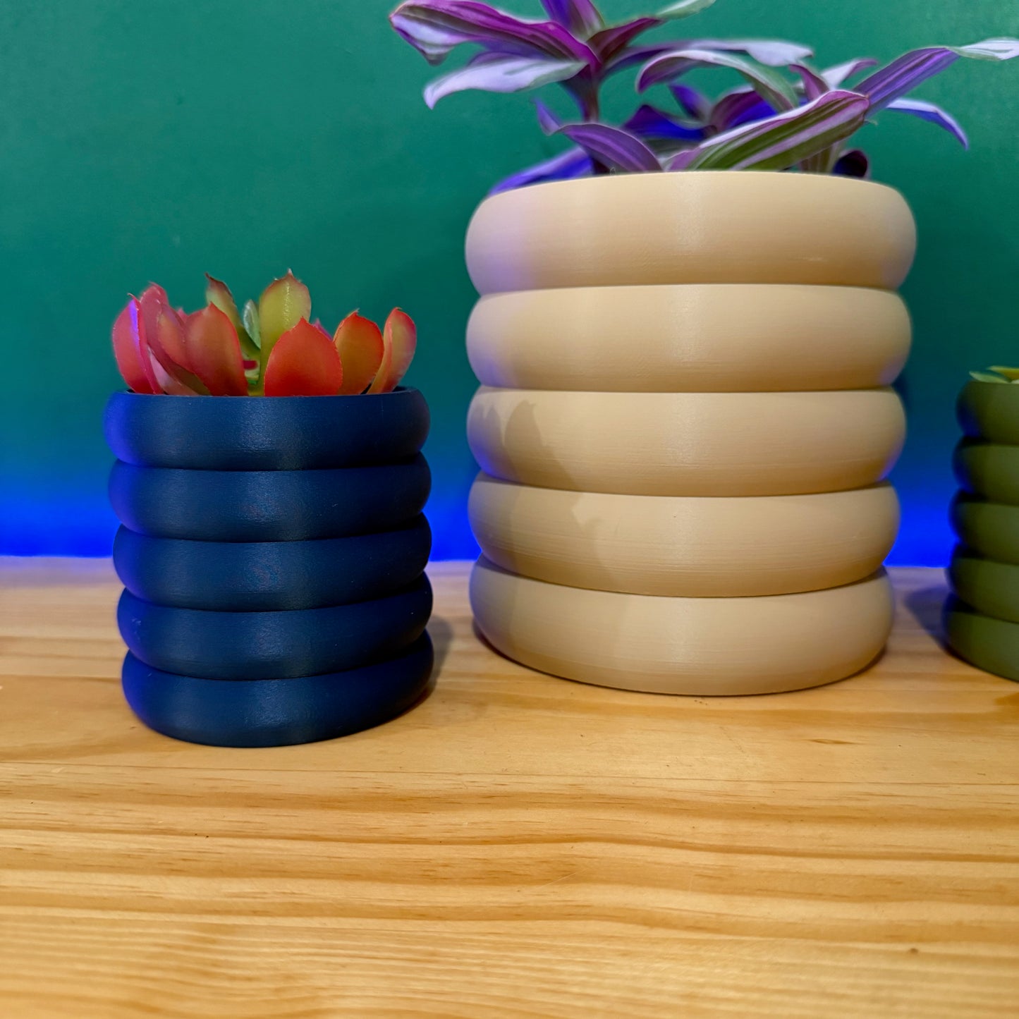 Sleek and curvy planter with organic-inspired details, making a sophisticated statement in any indoor or outdoor setting.