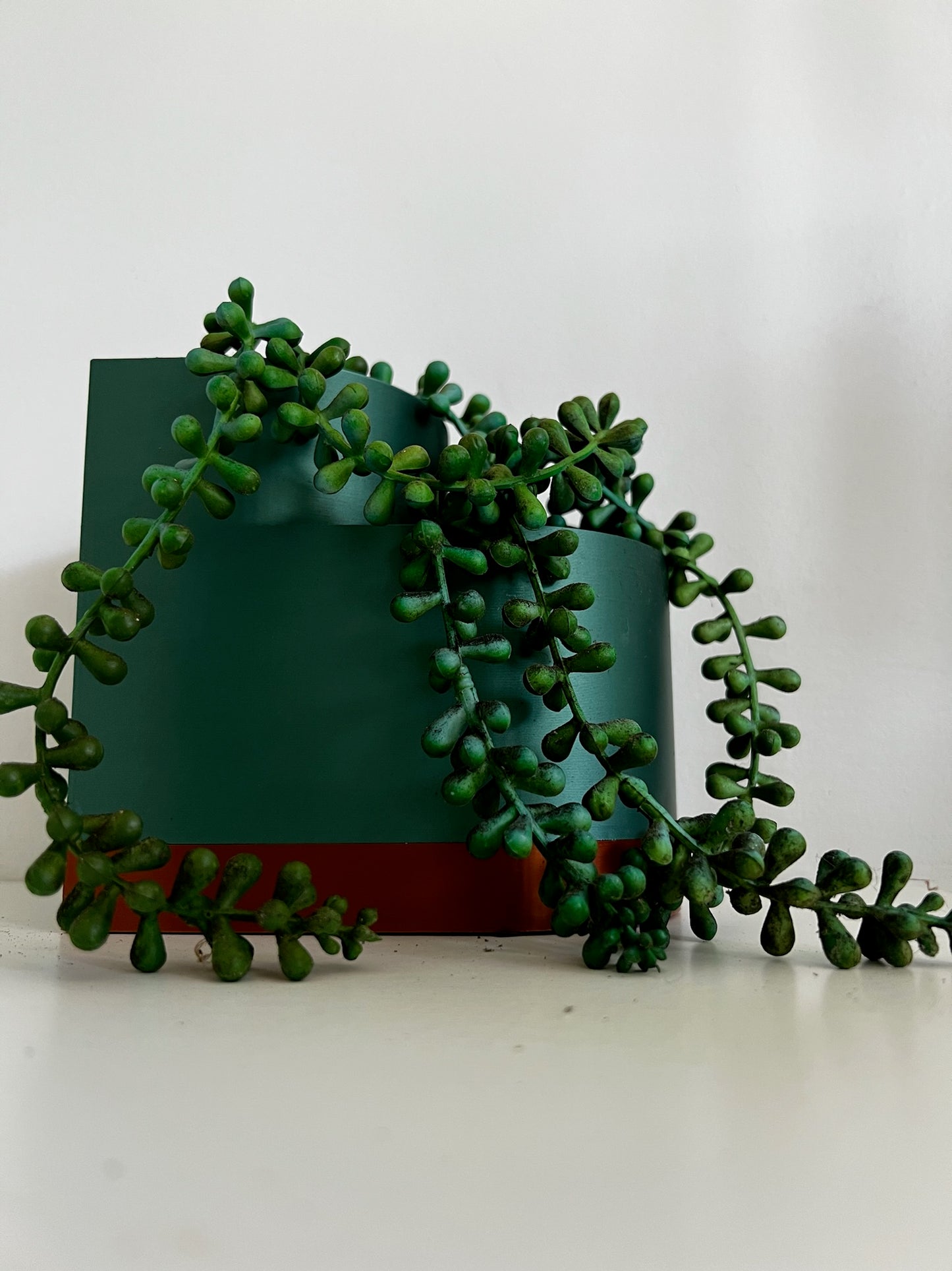 Close-up view of a double layer planter in a dark green color, featuring trailing succulent plants gracefully draped over it.