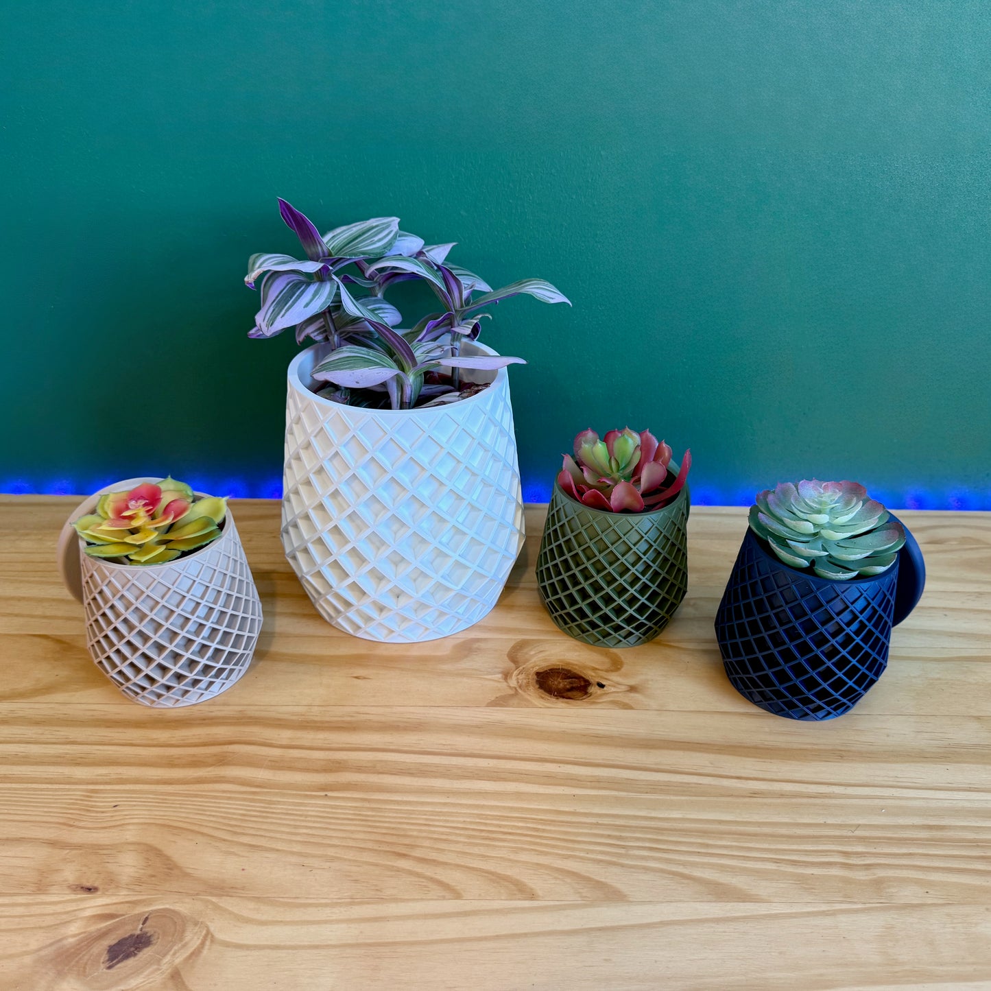 The Lattice Wall Planter by Lofted Goods—lightweight, stylish, and designed for effortless plant care with a removable base.