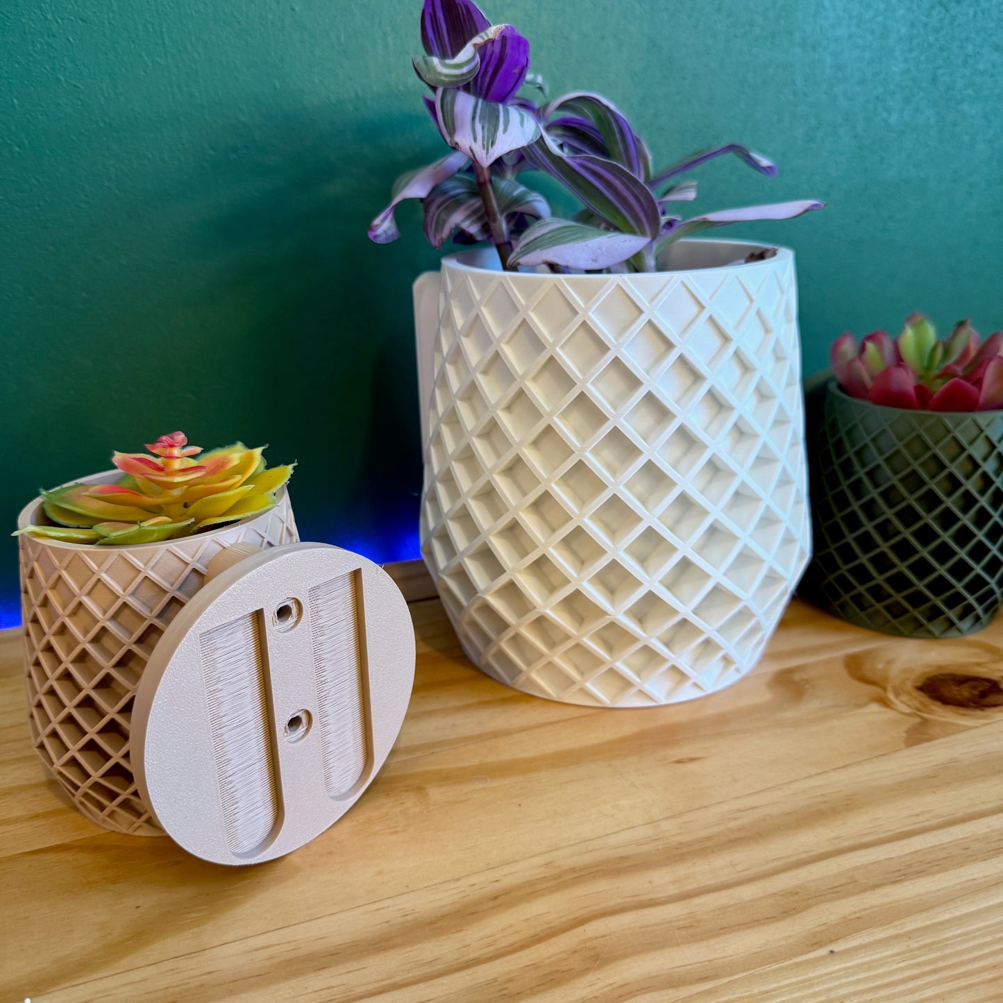 A geometric, sculptural wall planter that enhances any space with its bold lattice texture and sleek, modern design.