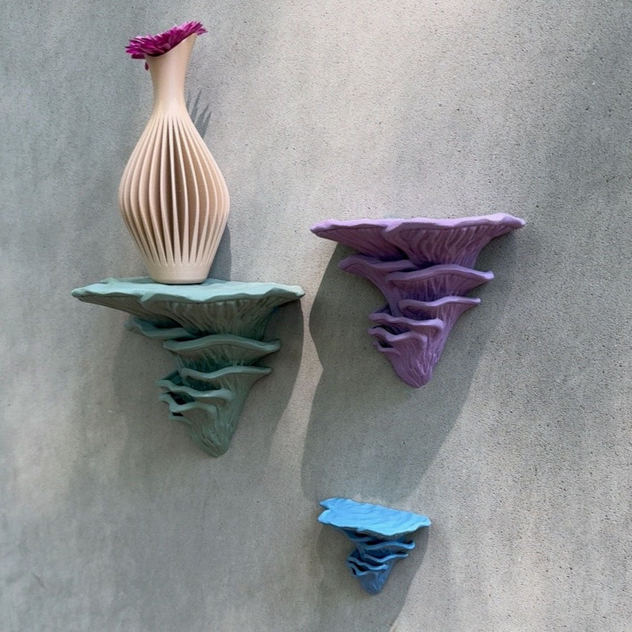 Djamor Floating Mushroom Shelves arranged on a wall, adorned with floral decorations, adding elegance to home decor.