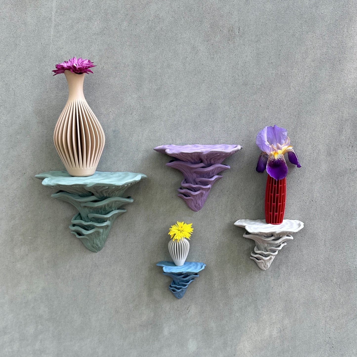 Stylish Djamor Floating Mushroom Shelves showcasing an array of colors and designs, perfect for home decor.