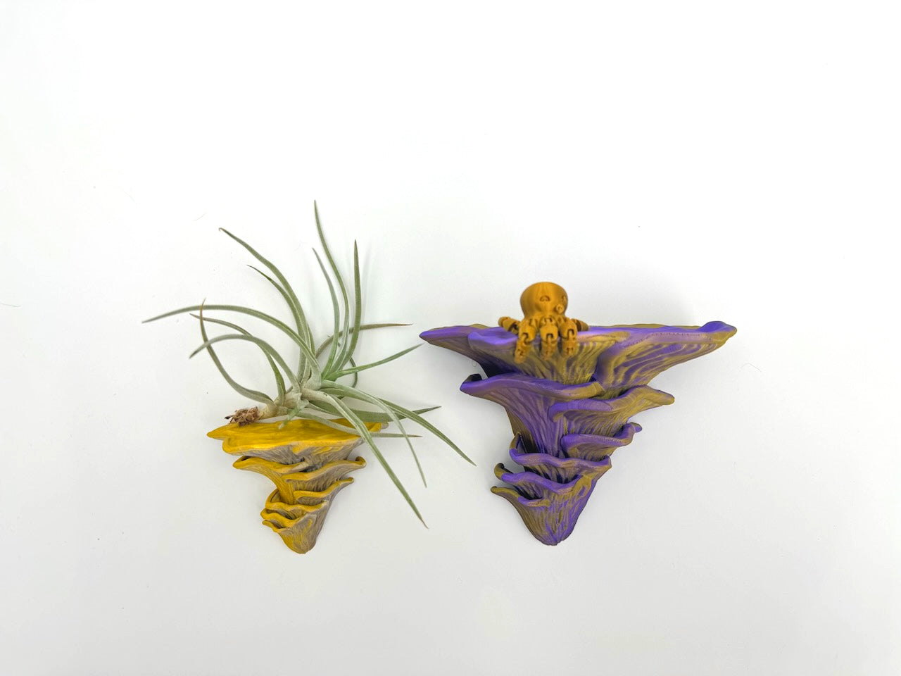 Eco-friendly Shimmering Djamor Fungus floating shelf in vibrant colors with an air plant, showcasing unique design and nature-inspired aesthetics.