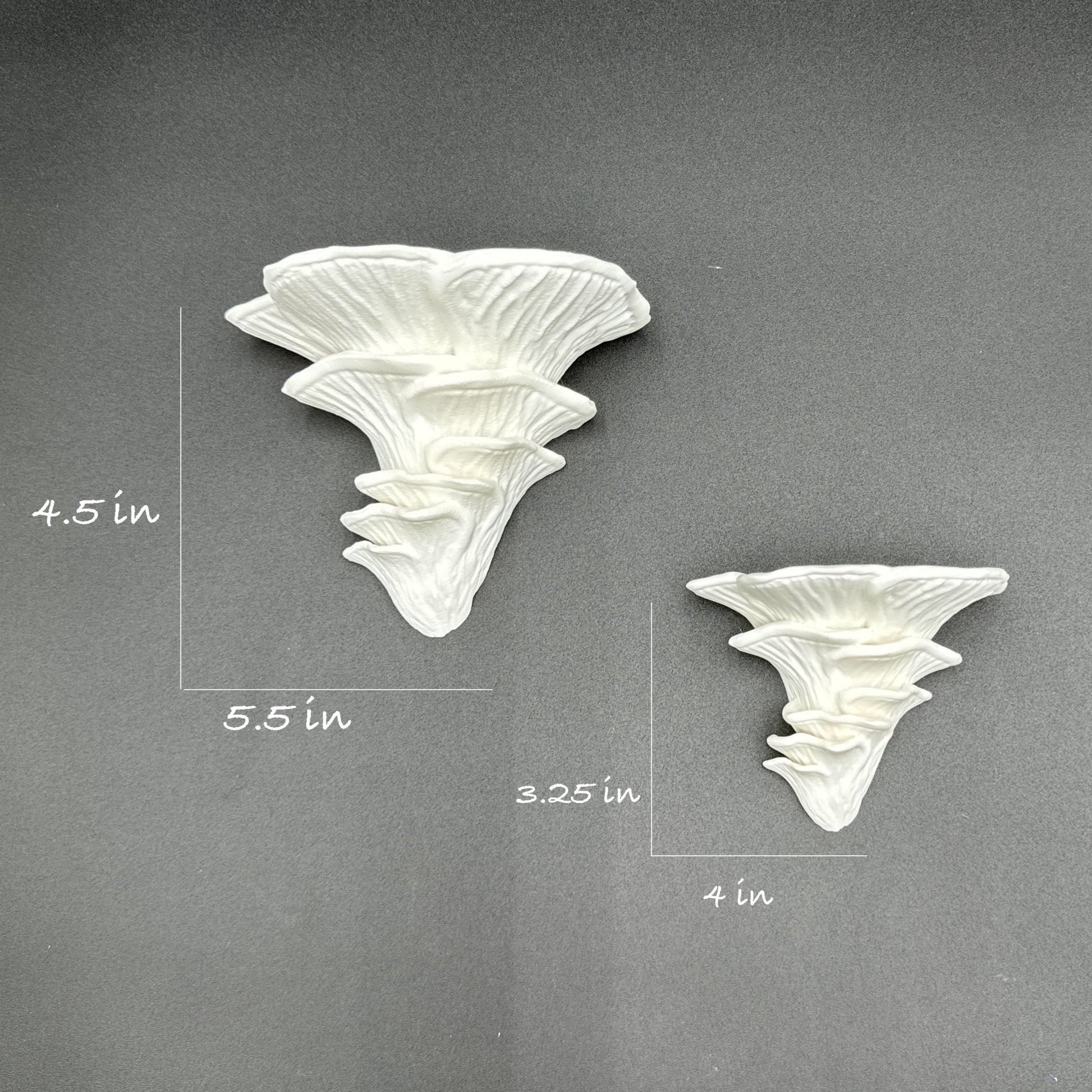 Display of white shelves styled as fungus, featuring measurements for decorative and functional use.