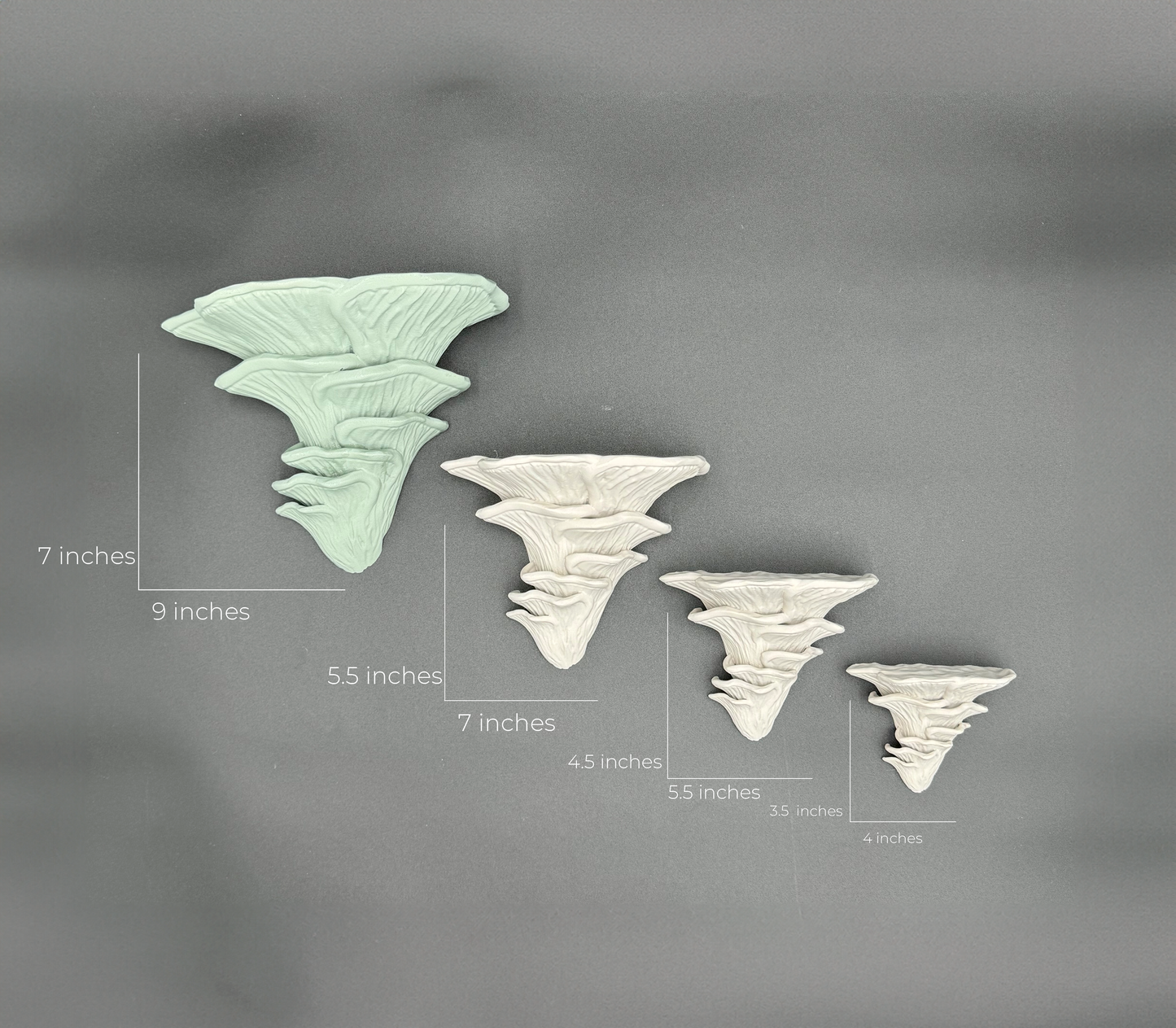 Measurement chart for Djamor Floating Mushroom Shelves, highlighting different sizes for various decorative needs.