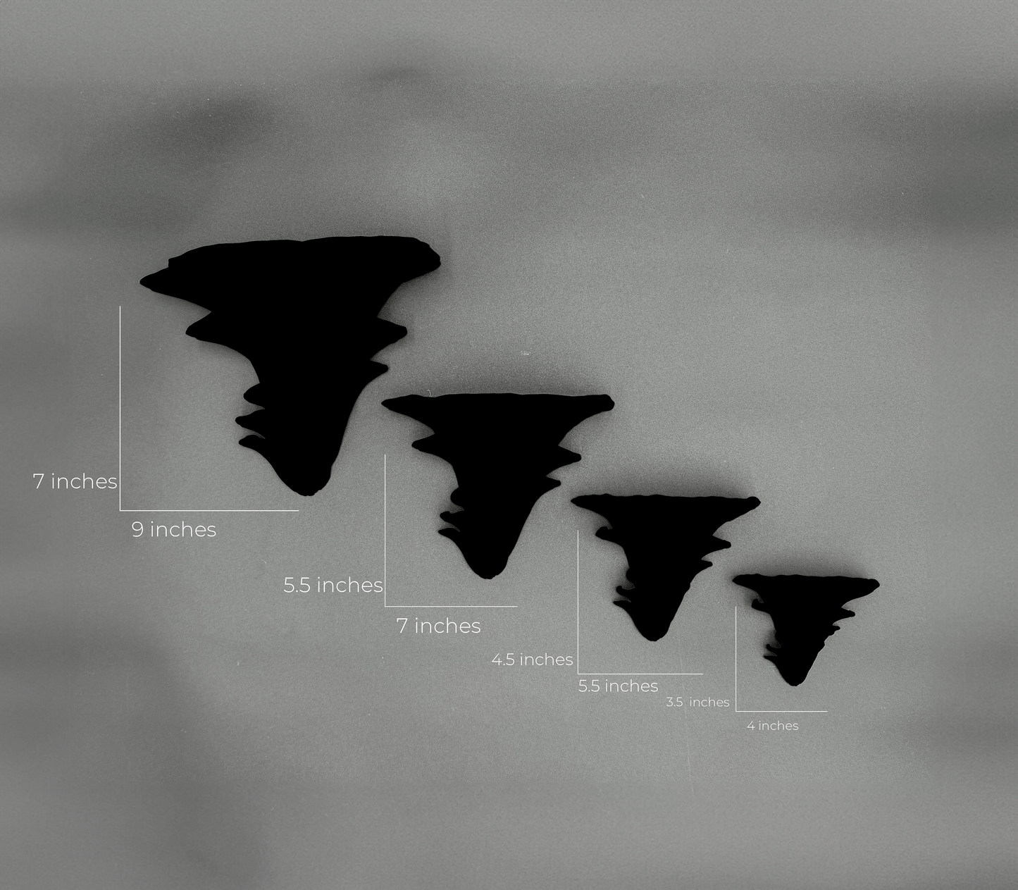 Silhouette of Djamor Floating Shelves in different sizes with measurements displayed for easy reference.