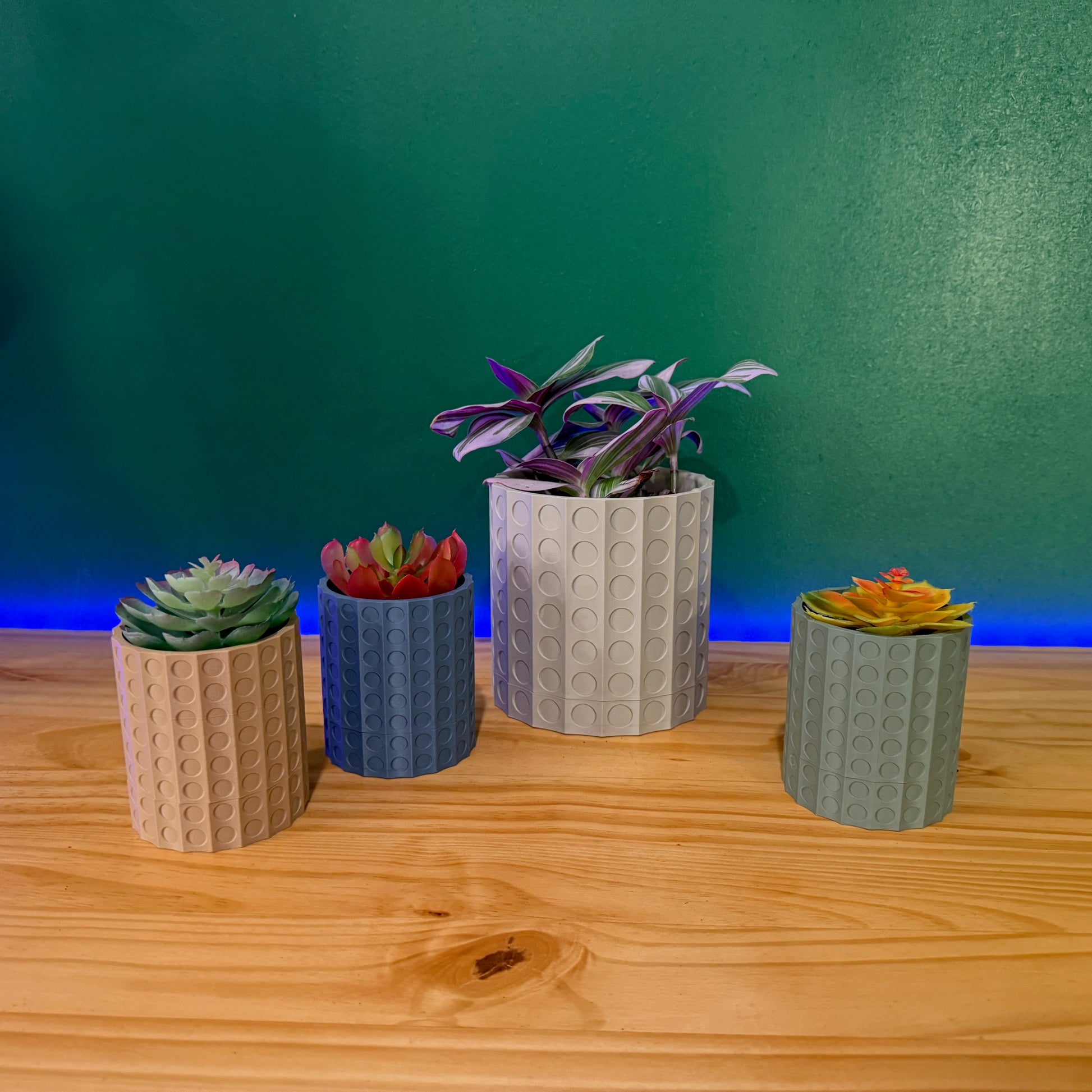 This unique wall-mounted planter features a textured spiral design, perfect for adding greenery to any space.