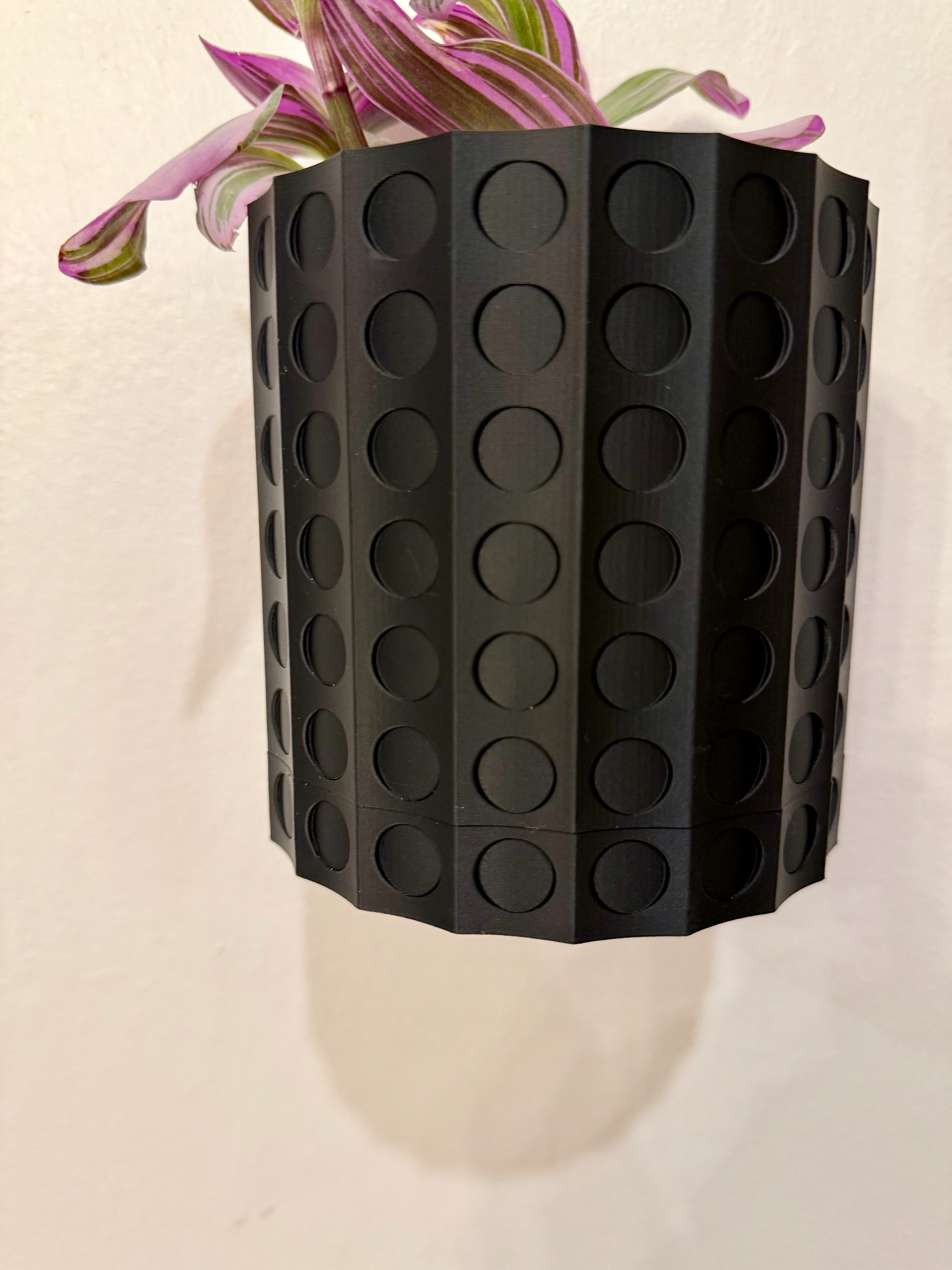 A contemporary wall planter with a bold spiral pattern, designed for effortless plant maintenance with a removable drip tray.