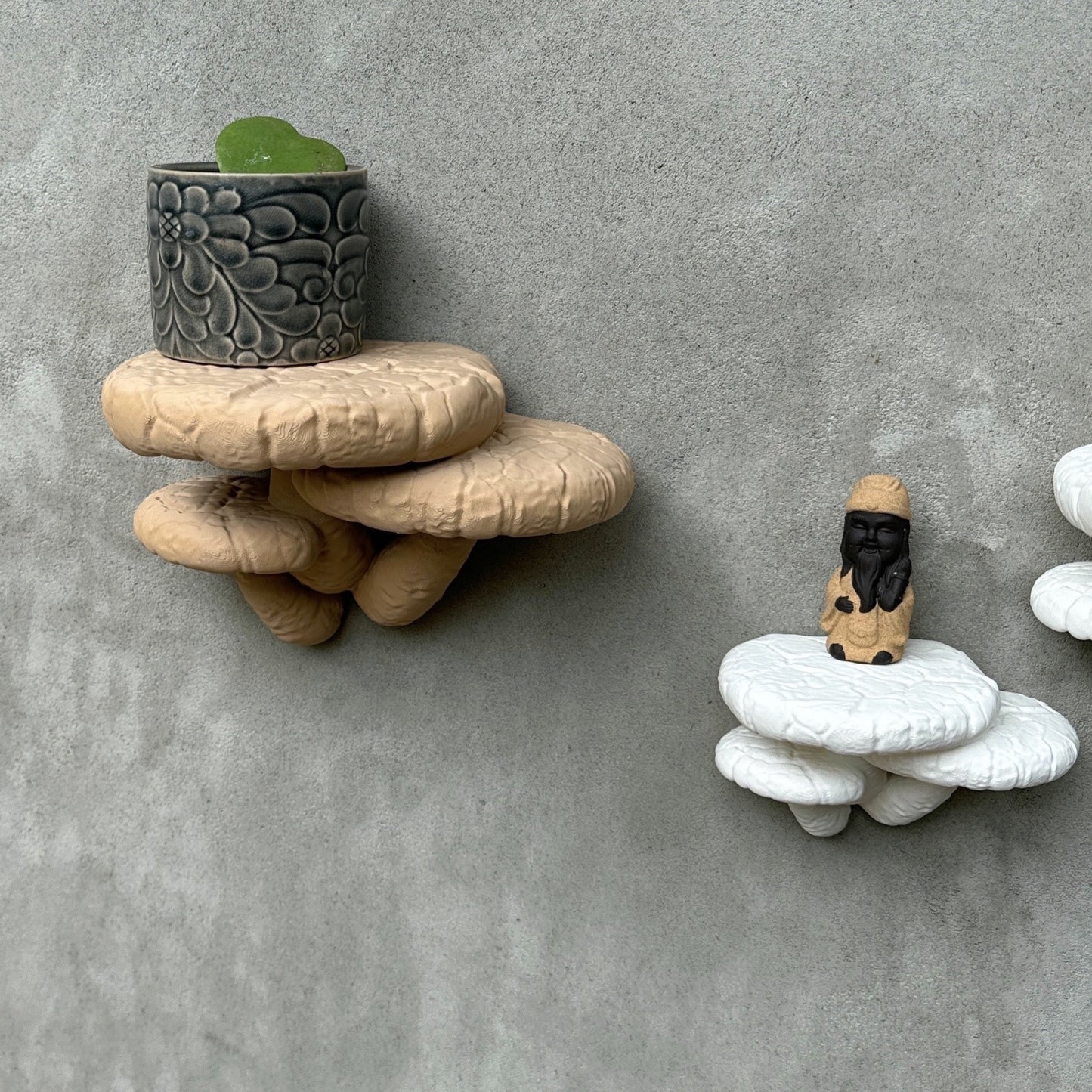 Artistic display of Edodes fungus floating shelves, highlighting decorative pieces like a potted plant and a small statue on a gray wall.