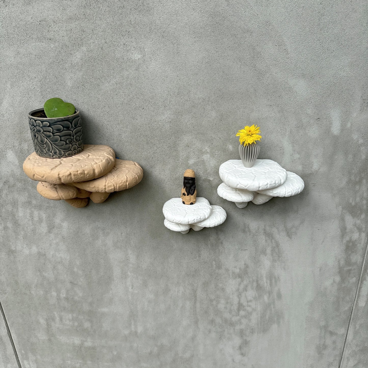 Edodes fungus themed floating shelves showcasing decorative items like a potted plant and a vase, mounted on a textured gray wall.