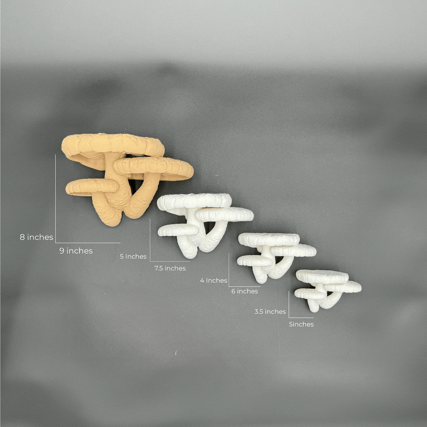 Measurements of Edodes fungus floating shelves displayed alongside each other in various sizes, illustrating their unique mushroom-inspired designs.
