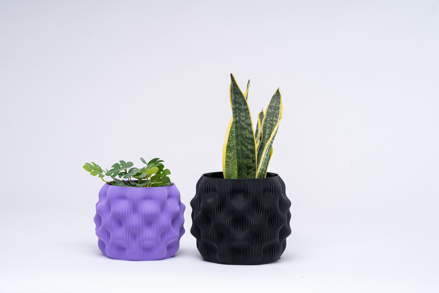 Two matte dimpled planters in contrasting colors, showcasing plants in a minimalistic setup against a plain background.