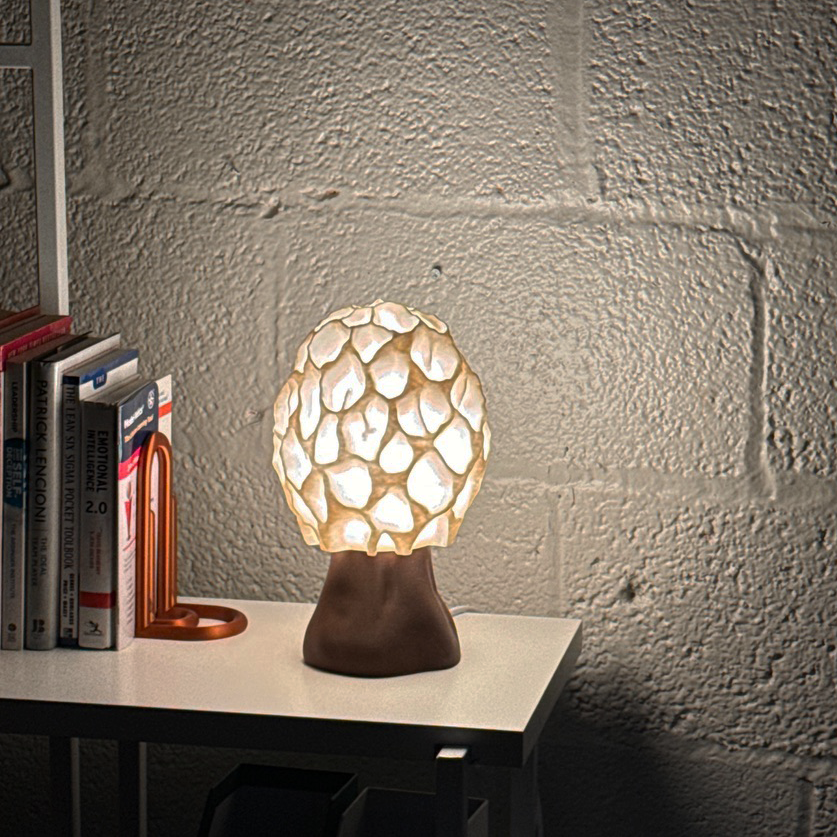 Detailed view of Morel-inspired lamps with colorful design, beautifully lighting up a cozy interior.