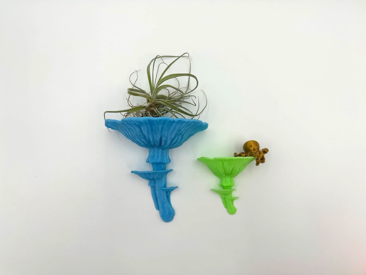 Colorful Amanita mushroom floating shelves in blue and green, displaying air plants and small collectibles against a bright white background.