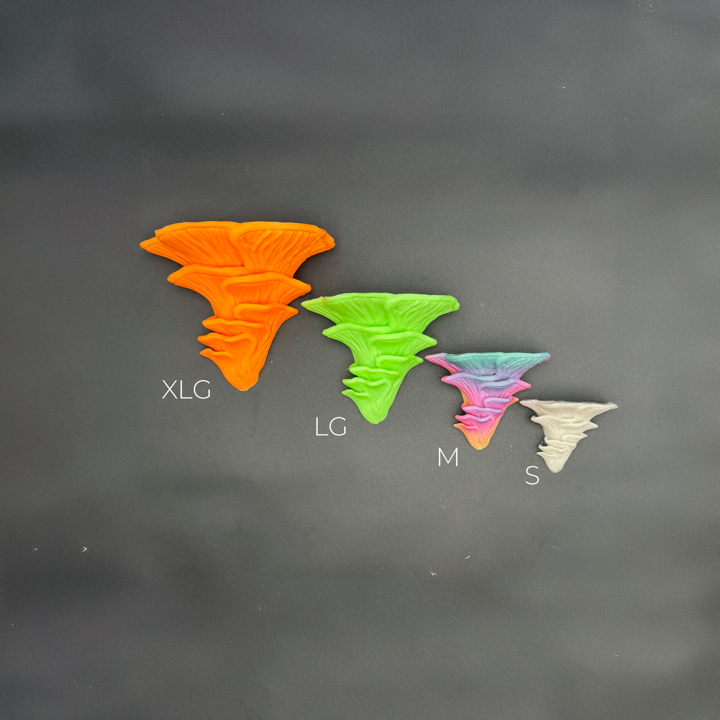 Variety of Djamor Floating Shelves in different sizes labeled XLG, LG, M, and S, highlighting their unique designs and glow-in-the-dark colors.