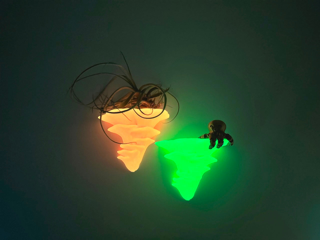 Djamor Glowing Fungi Floating Shelf showcasing its glow-in-the-dark feature with decorative elements like air plants and a small octopus figurine.