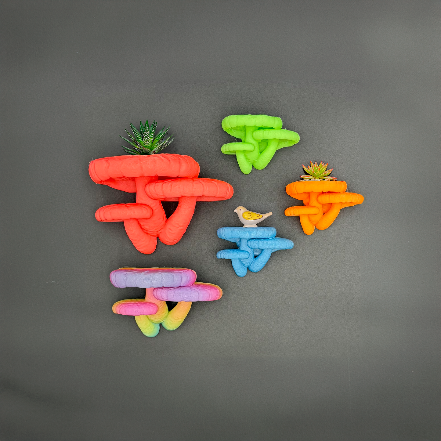 Colorful glow-in-the-dark Edodes fungus floating shelves arranged in various sizes with decorative plants and a bird figurine on display.