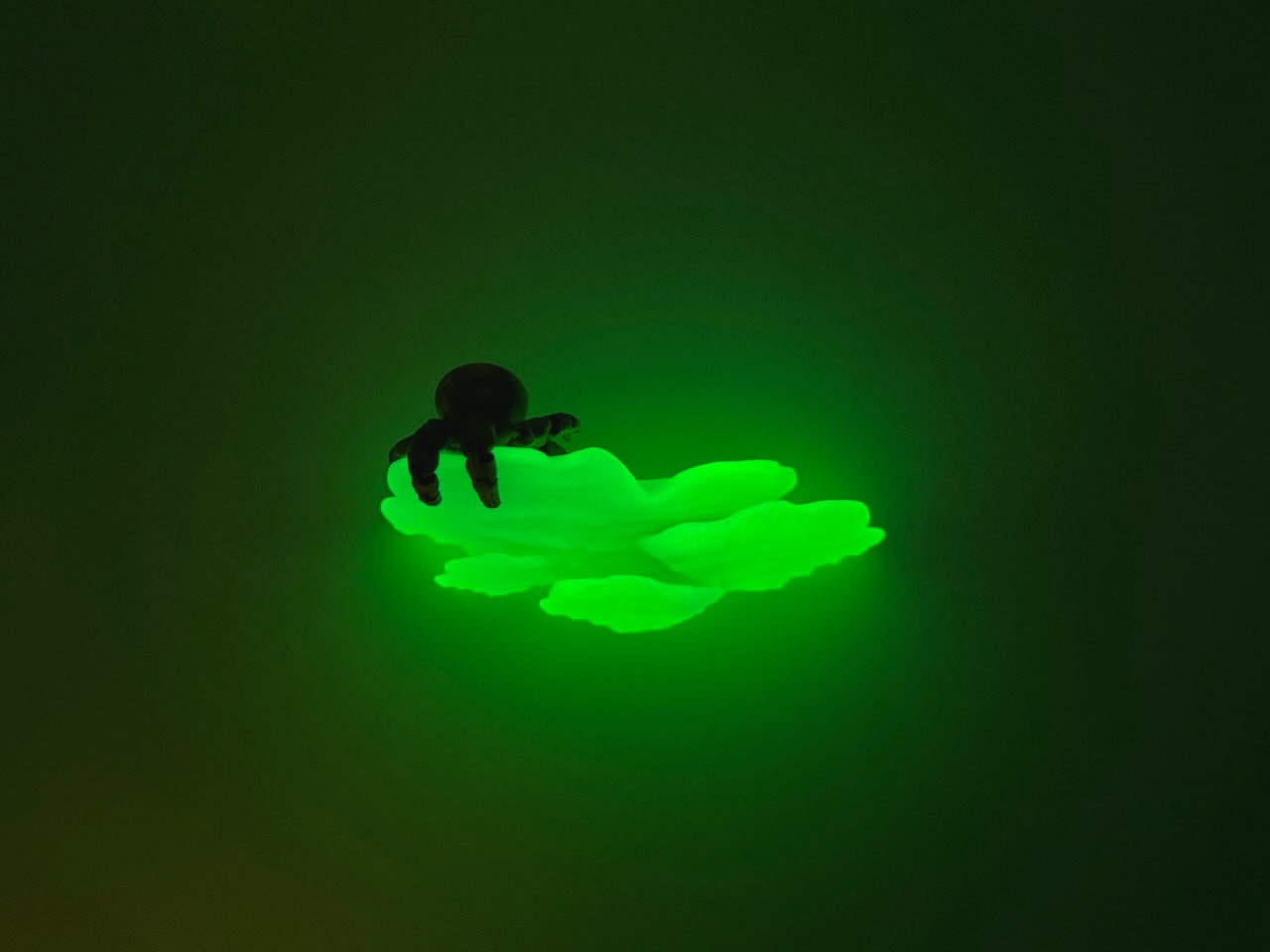 Glow in the dark Ostrea Mushroom Floating Shelf illuminated with a playful spider toy on top, creating a mystical ambiance in low light.