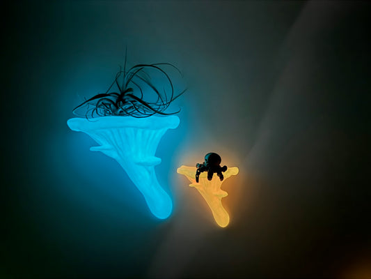 Glow in the dark oyster fungus themed floating shelf in blue and orange, showcasing a unique home decor design. Perfect for displaying small plants or collectibles, adding a whimsical touch to any room.