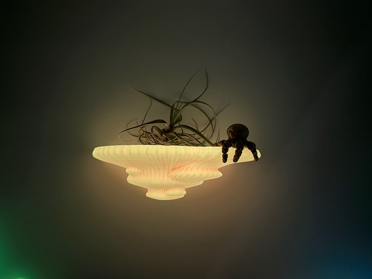 Glow in the dark Tinder Fungus mushroom floating shelf with air plants, showcasing its whimsical decor style.